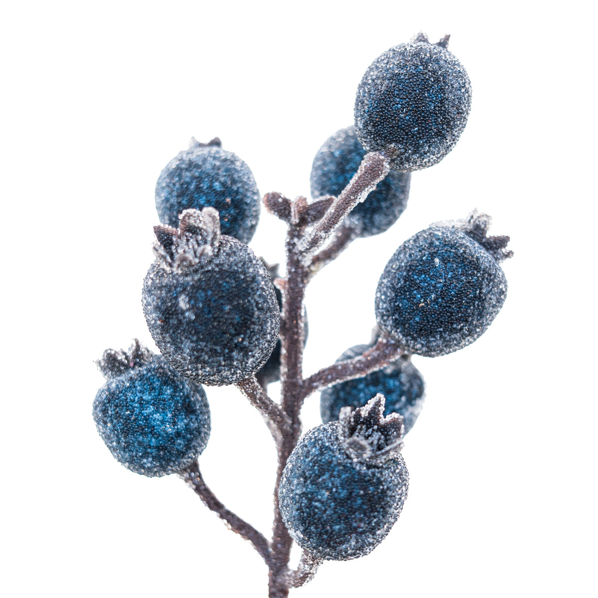 Icy Blue Pomegranate Berry Spray Weather Resistant