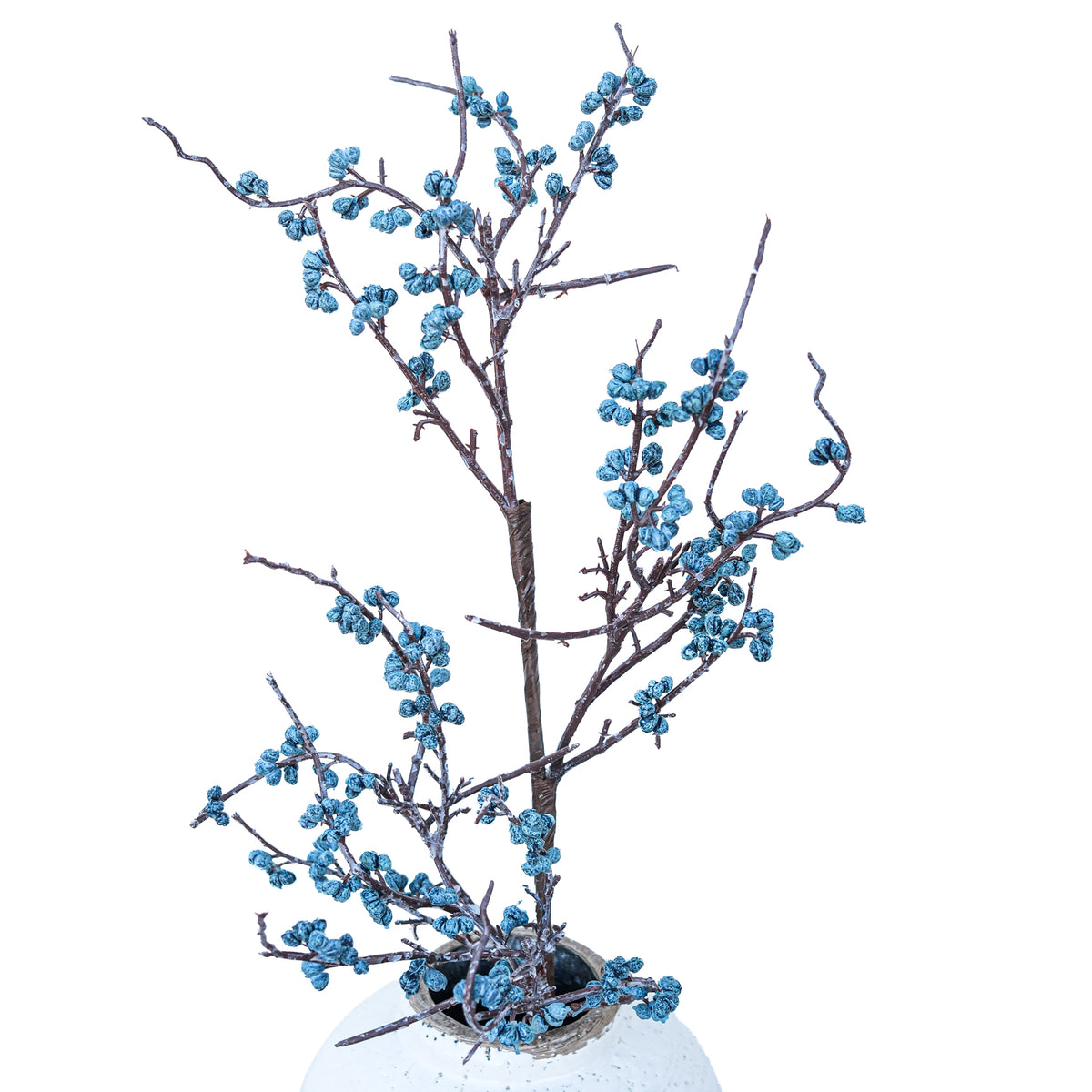 Thicket Blueberry Spray