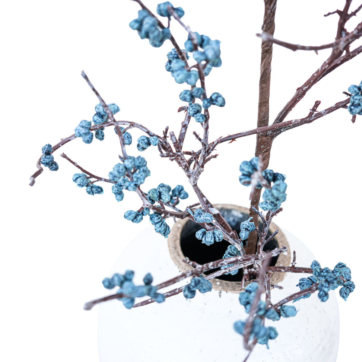 Thicket Blueberry Spray