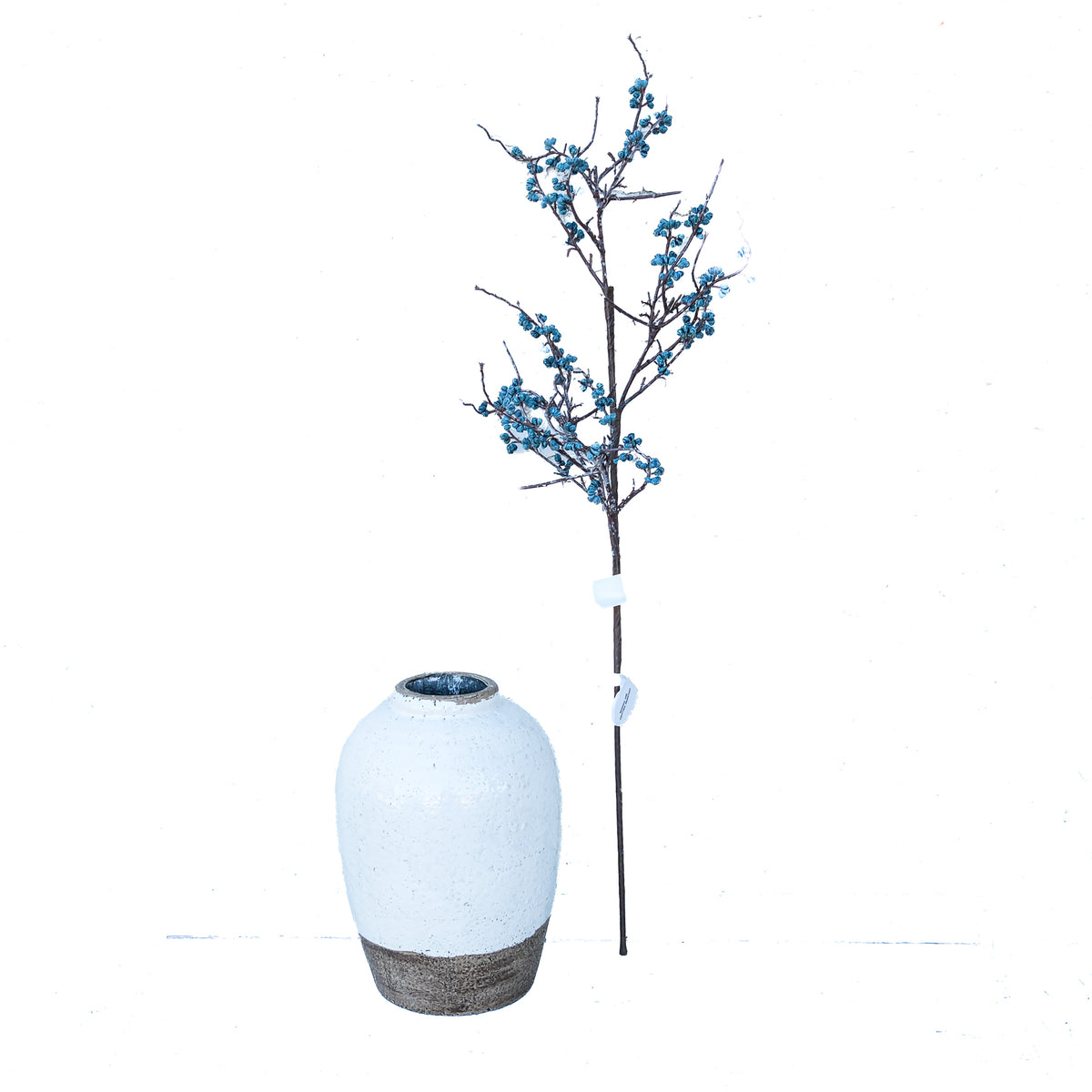 Thicket Blueberry Spray