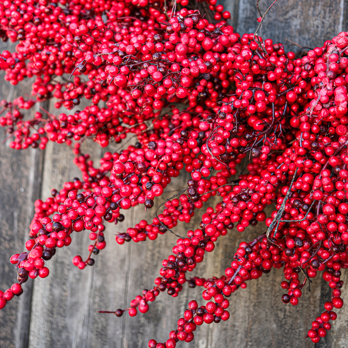 28"D Red Thimble Berry Wreath