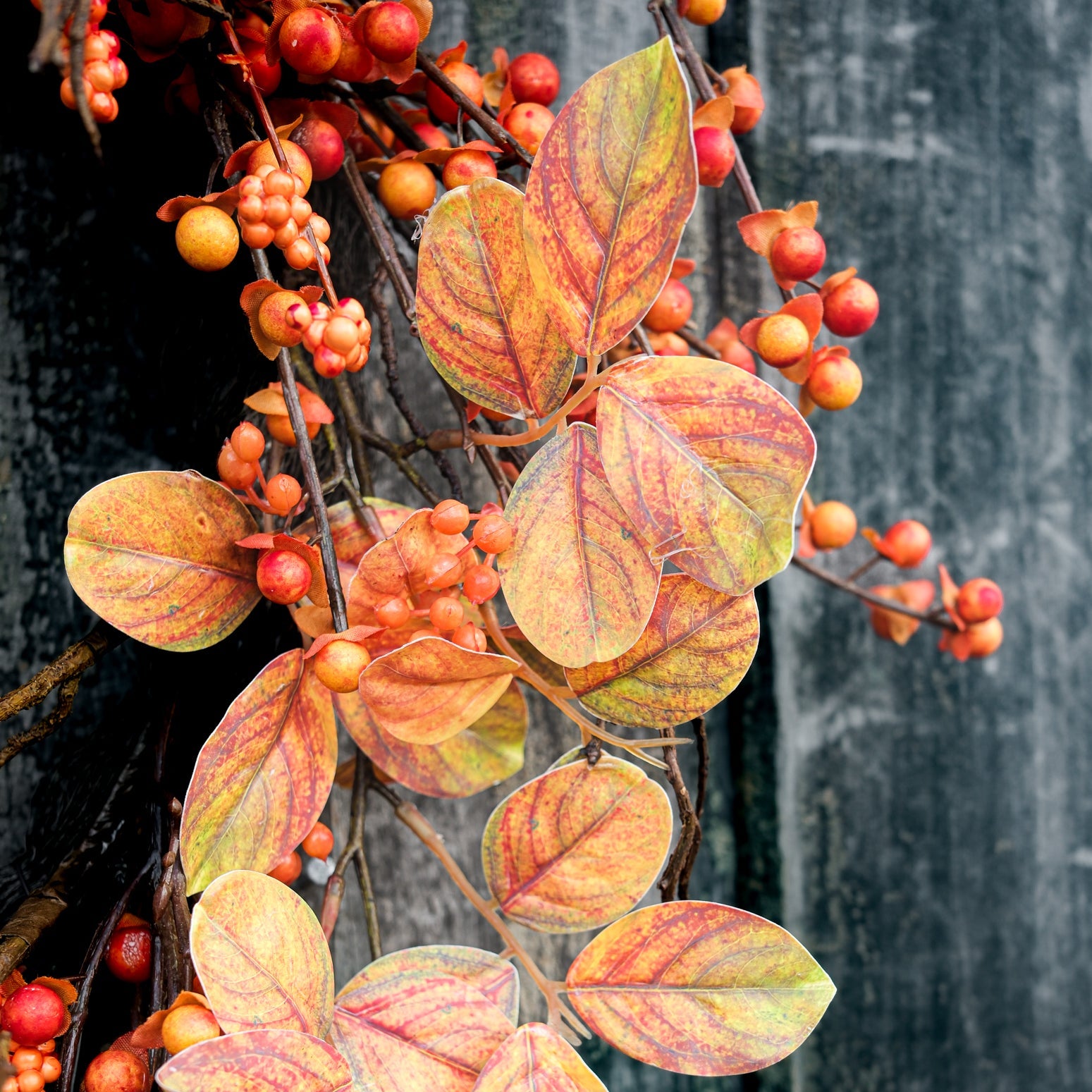 Bittersweet Wreath