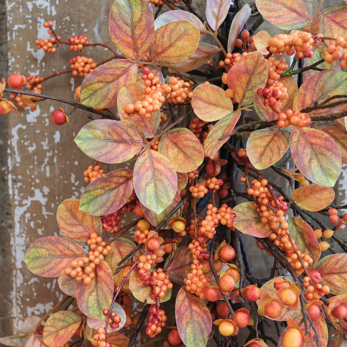 Bittersweet Autumn Down Drop
