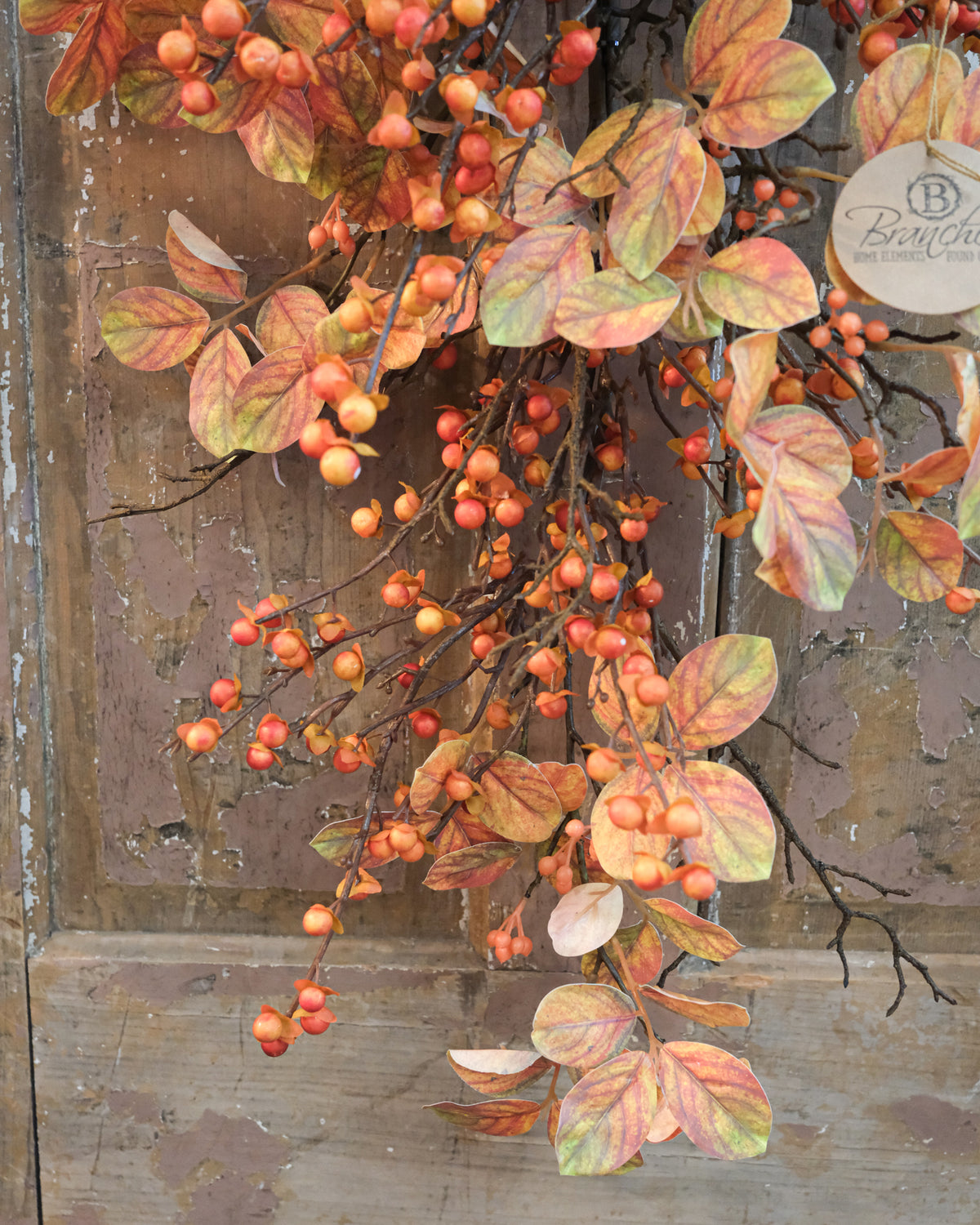 Bittersweet Autumn Down Drop