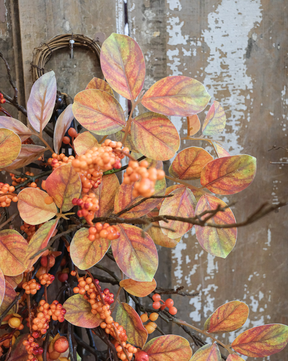 Bittersweet Autumn Down Drop