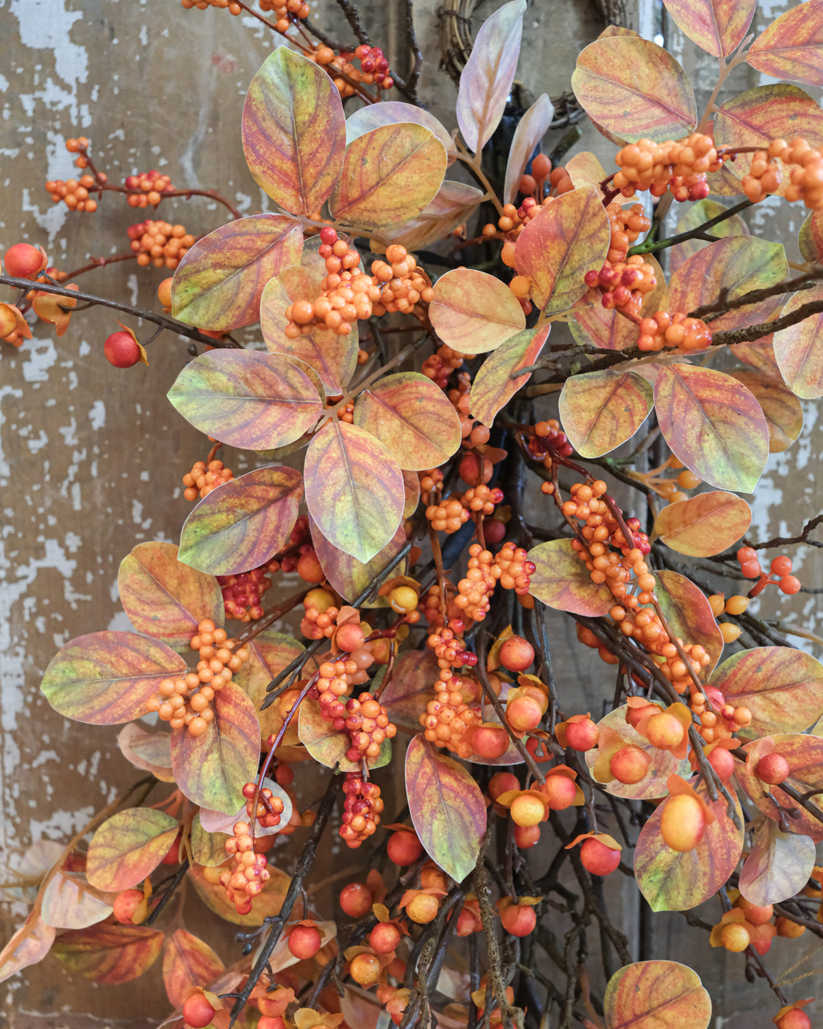 Bittersweet Autumn Down Drop