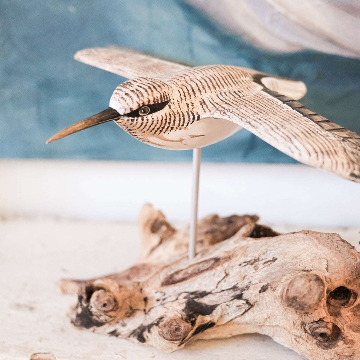 Gliding Sandpipers on Driftwood
