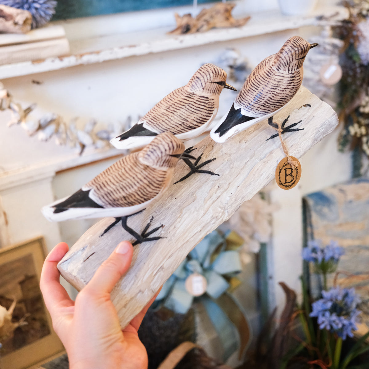 Three Brown Sandpipers on Log