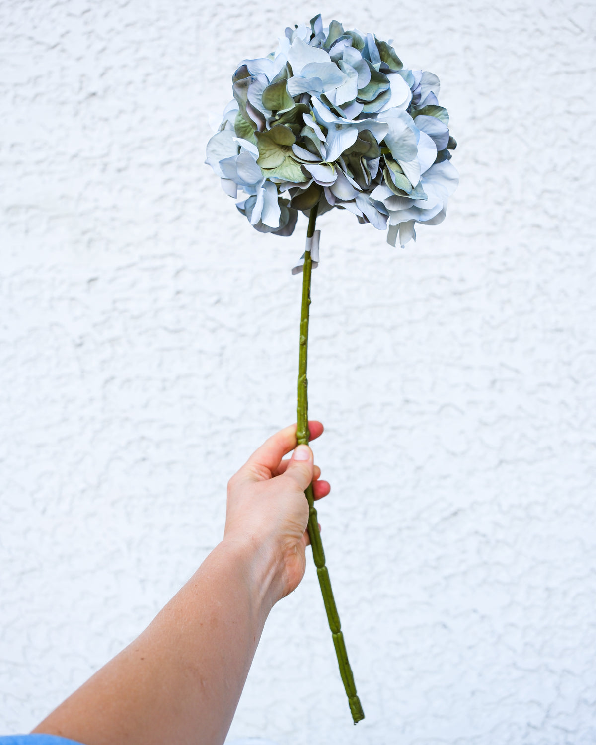 Sea Glass Hydrangea