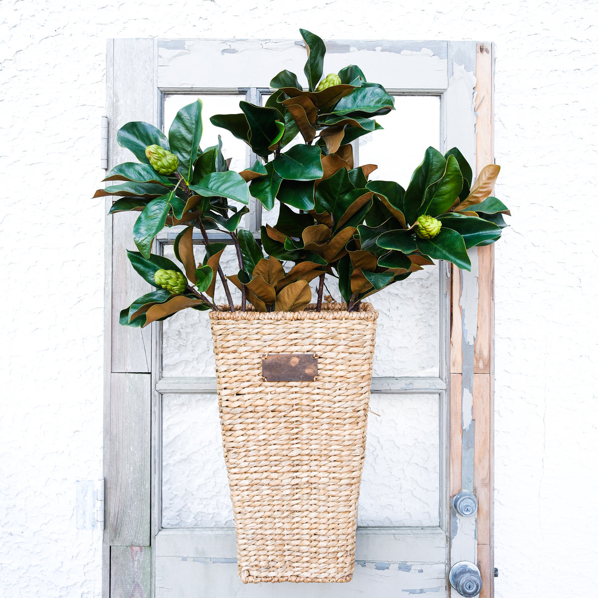 Grand Magnolia Leaf Pods Branch 44"L