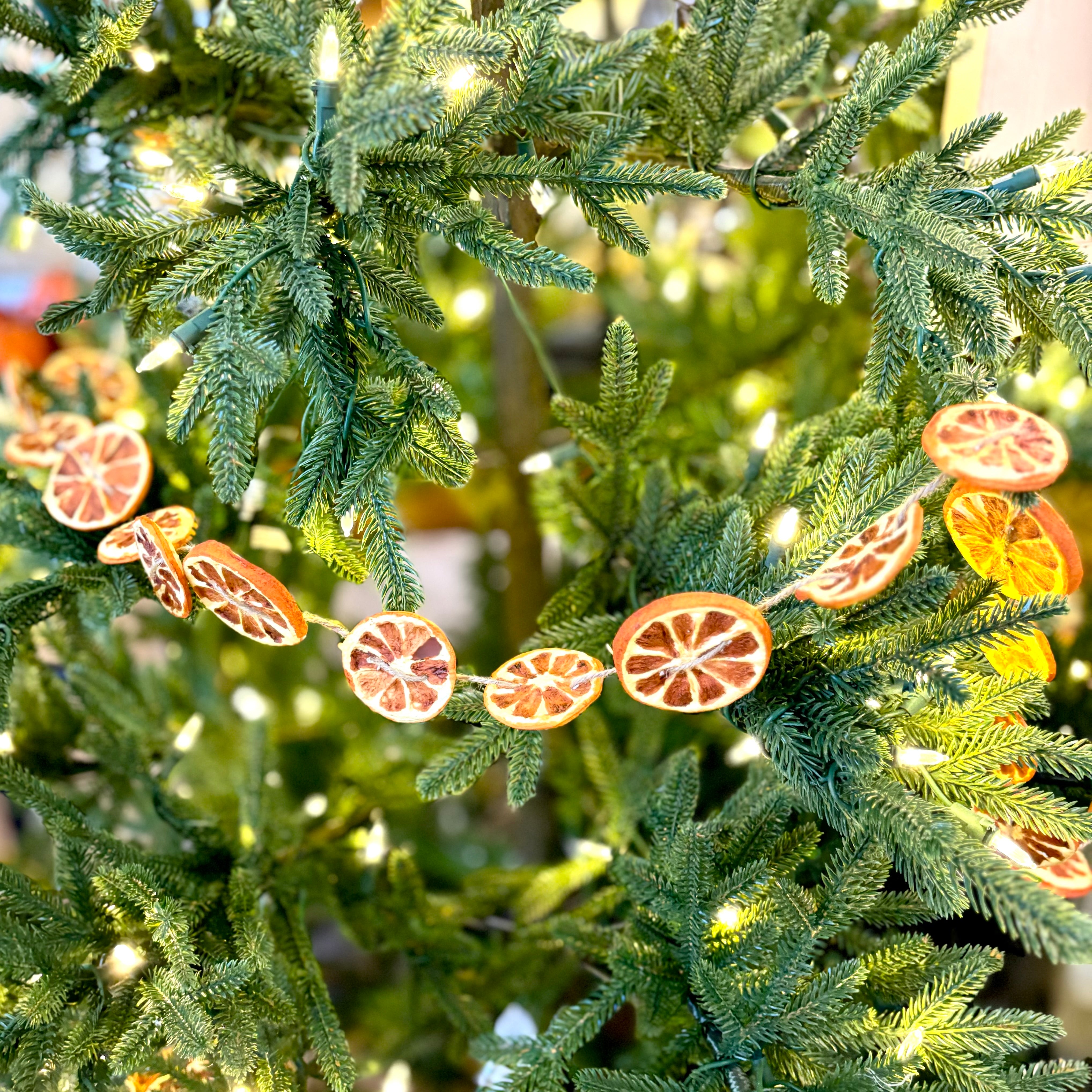 Orange Slice Garland