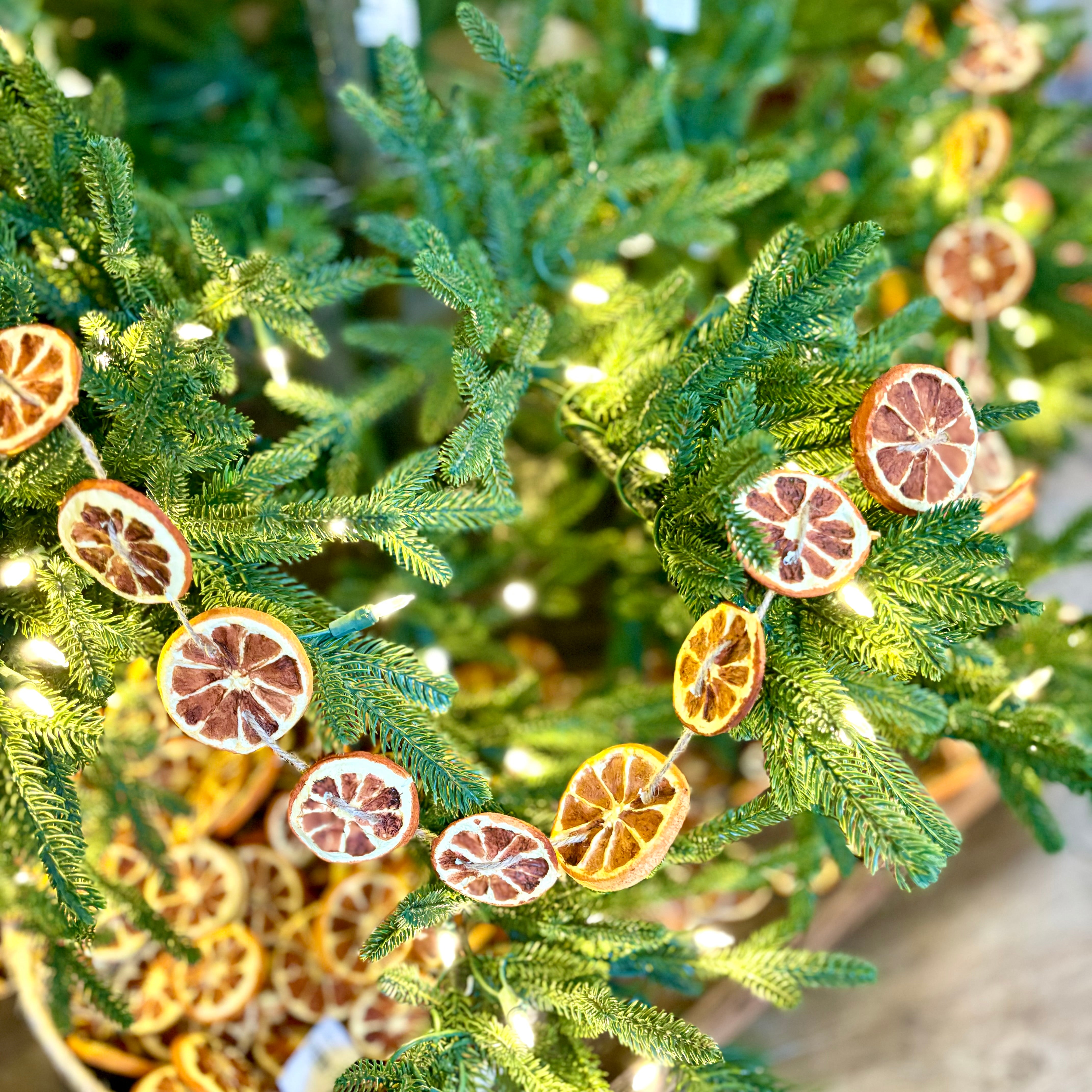 Orange Slice Garland