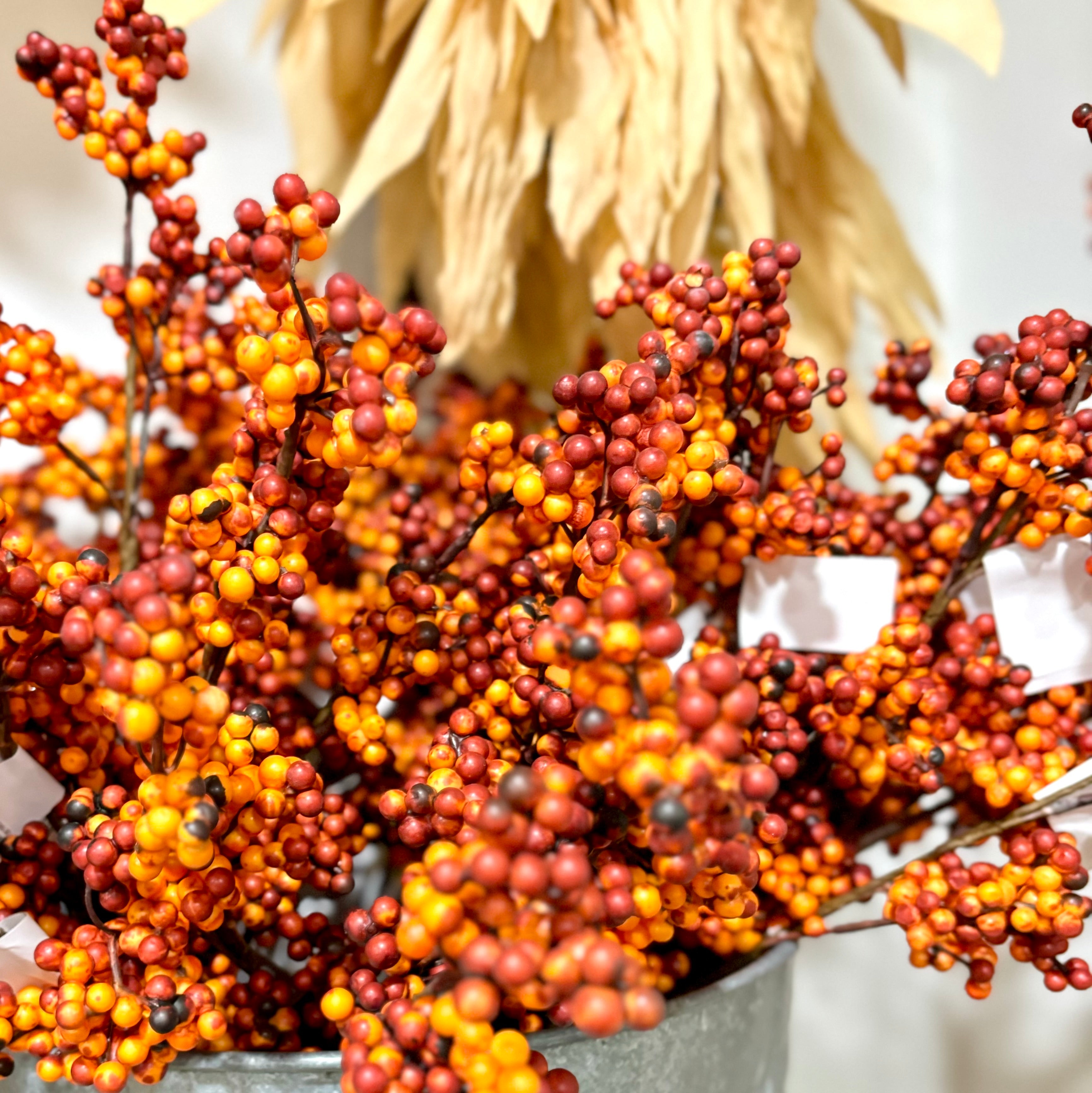 Berry Pick Rust Weather Resistant