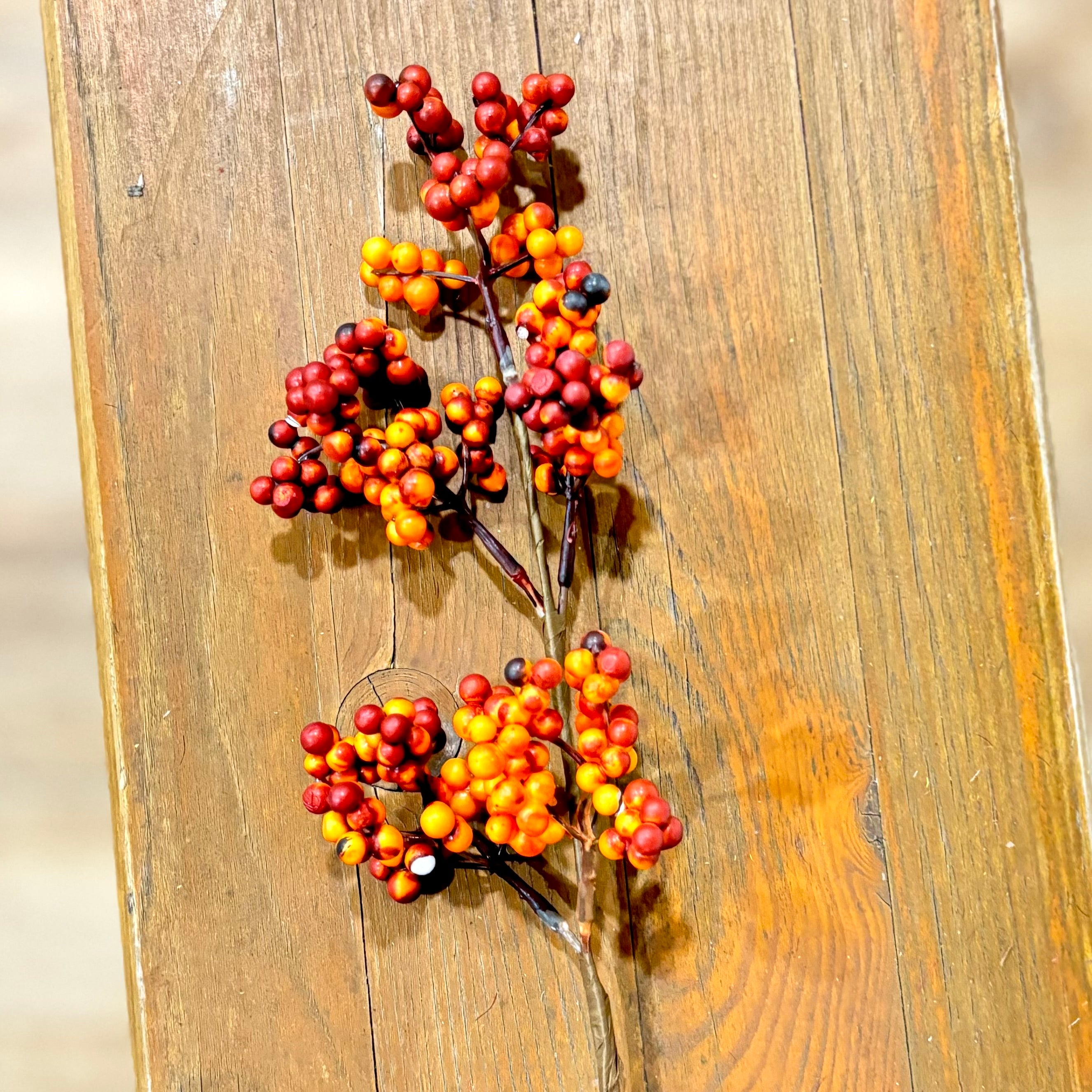 Berry Pick Rust Weather Resistant