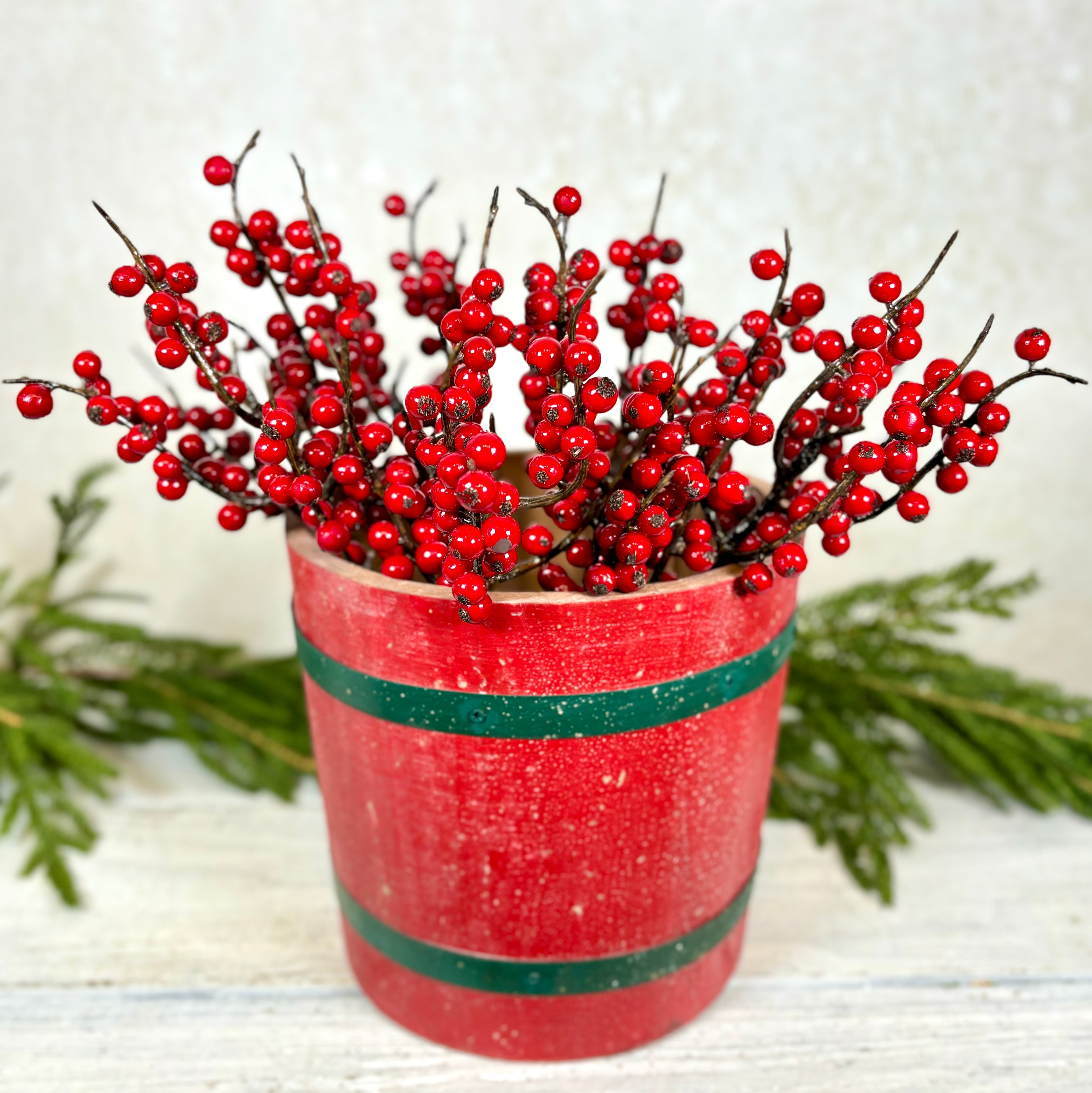 Ilex Winterberry Red Pick