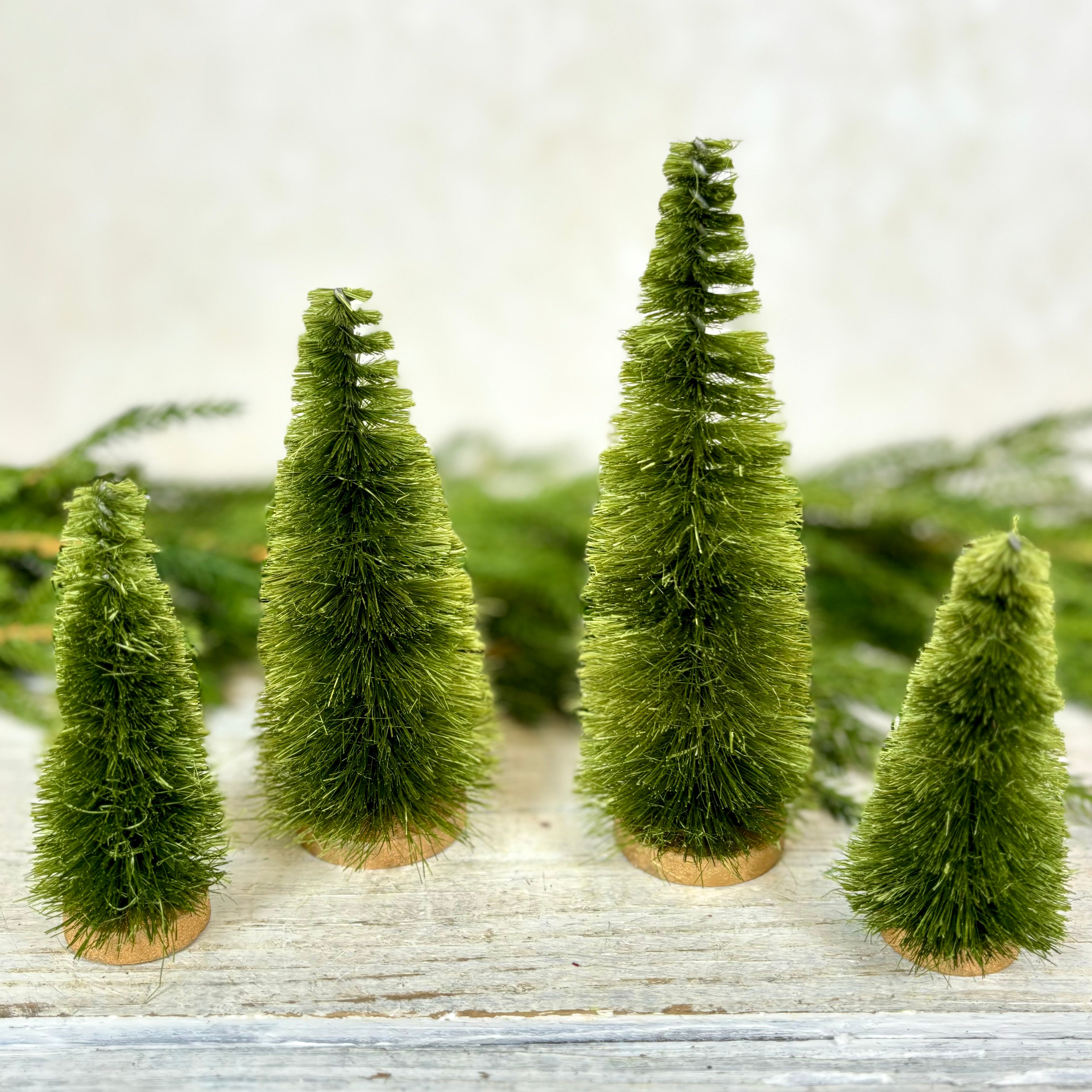 Boxed Set of Four Green Bottle Brush Trees