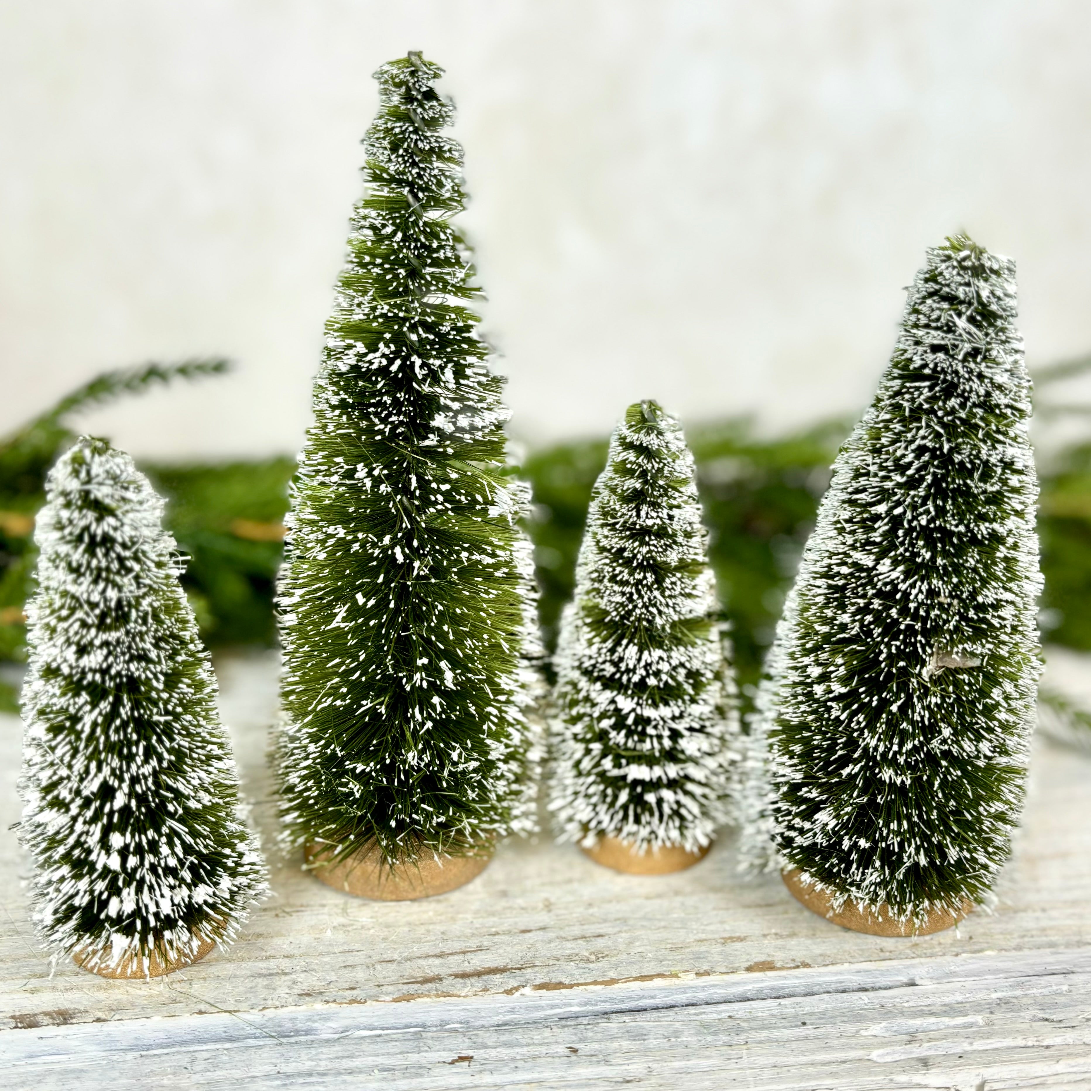 Boxed Set of Four Sisal Bottle Brush Trees with Snow