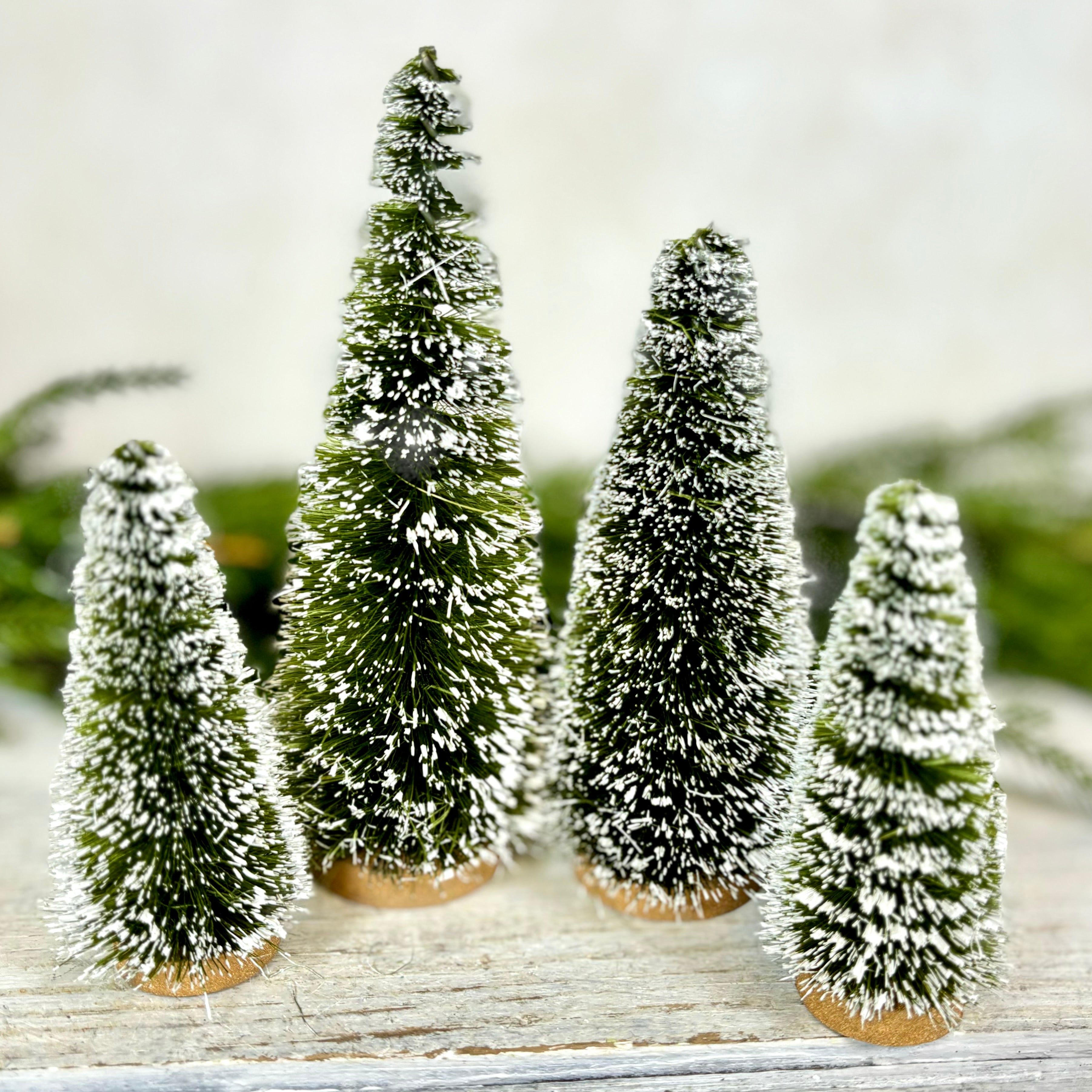 Boxed Set of Four Sisal Bottle Brush Trees with Snow