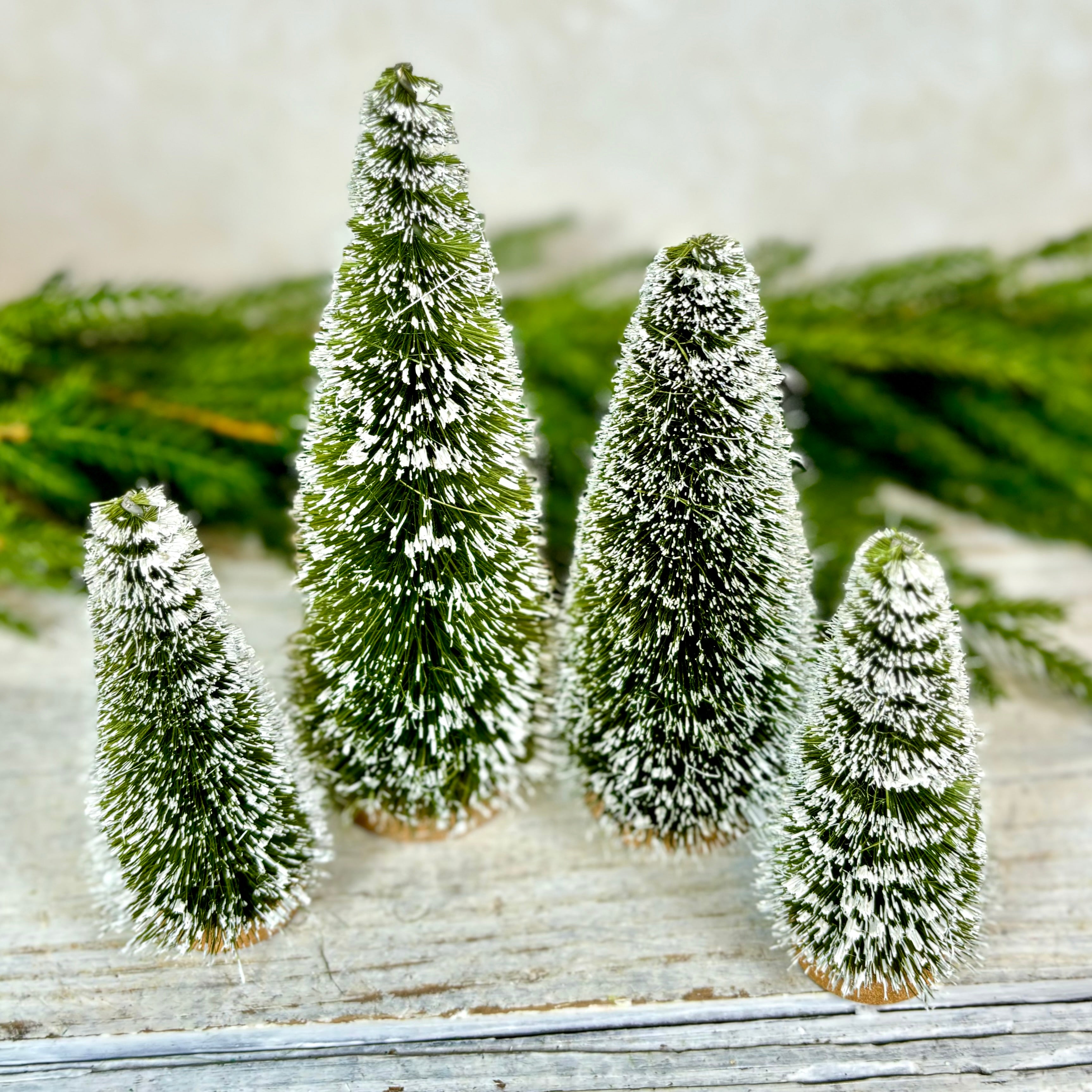 Boxed Set of Four Sisal Bottle Brush Trees with Snow