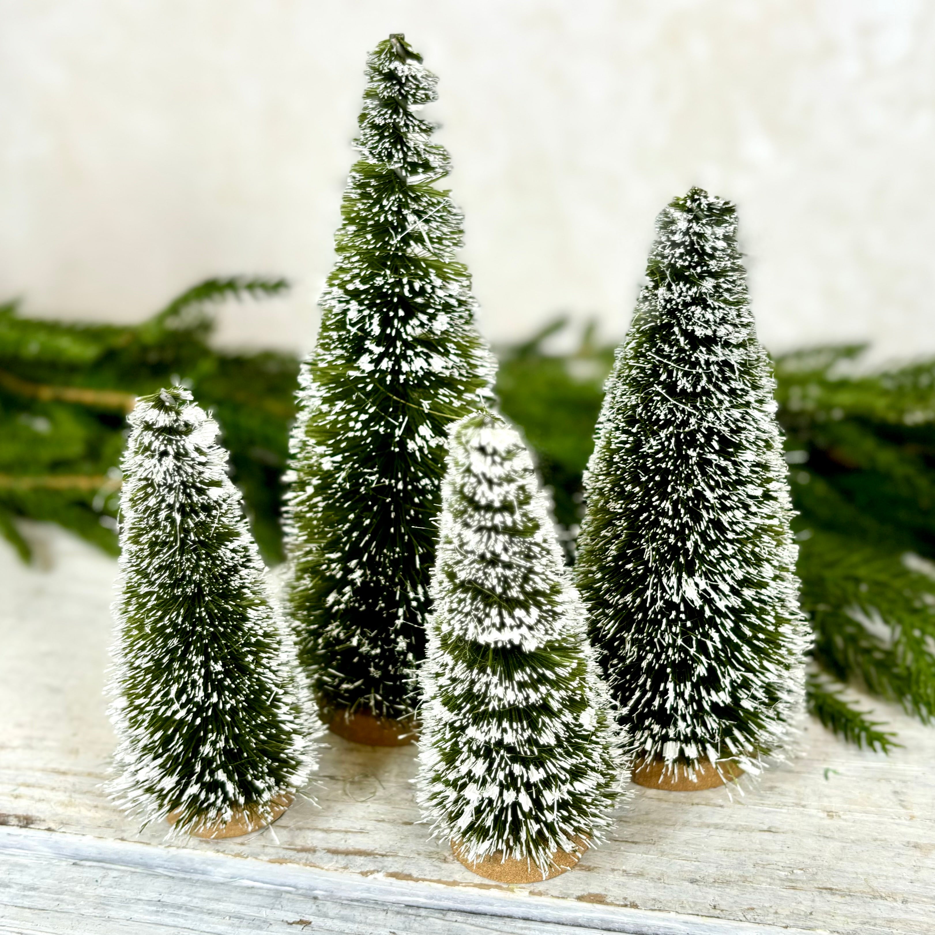 Boxed Set of Four Sisal Bottle Brush Trees with Snow