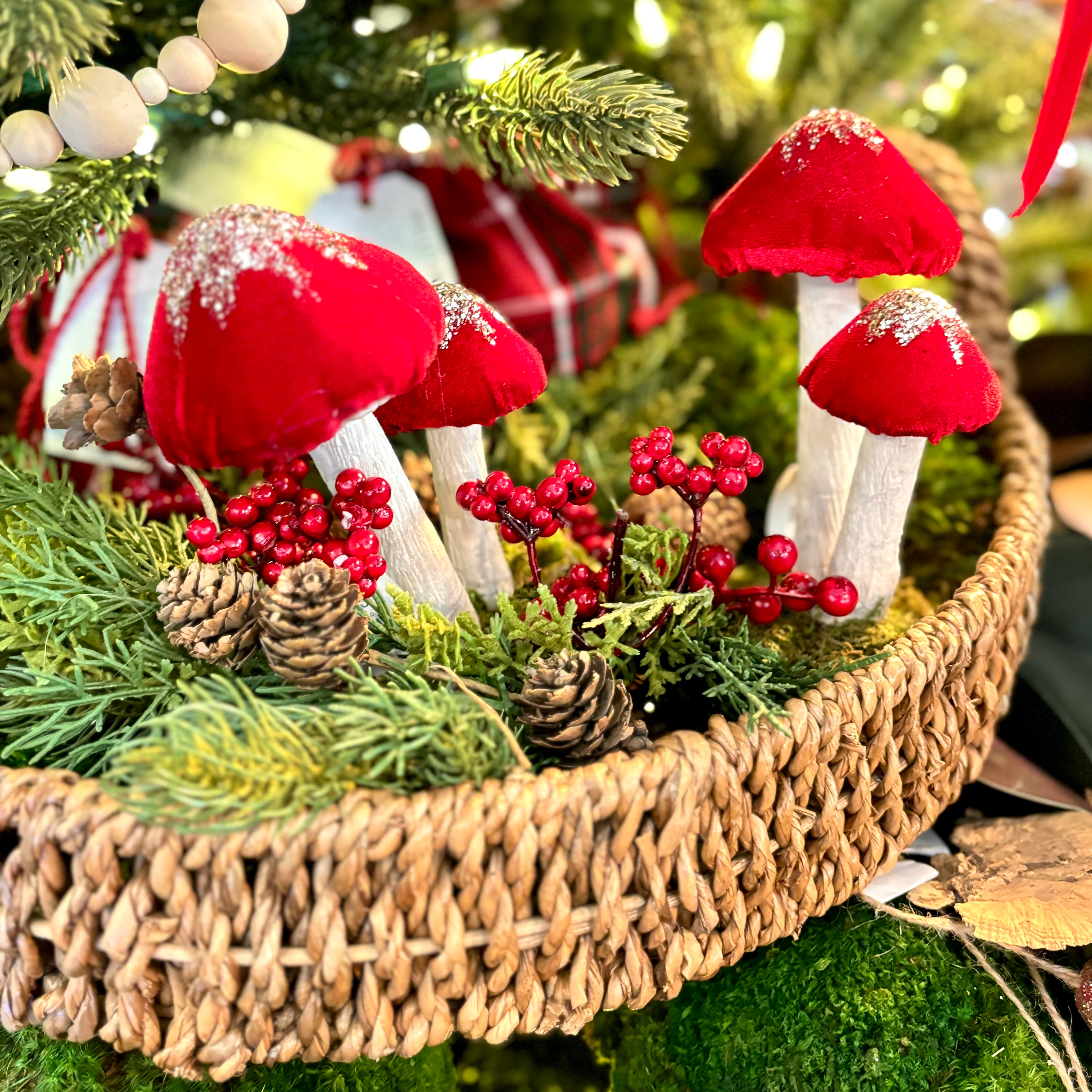 Red Mushroom Cluster