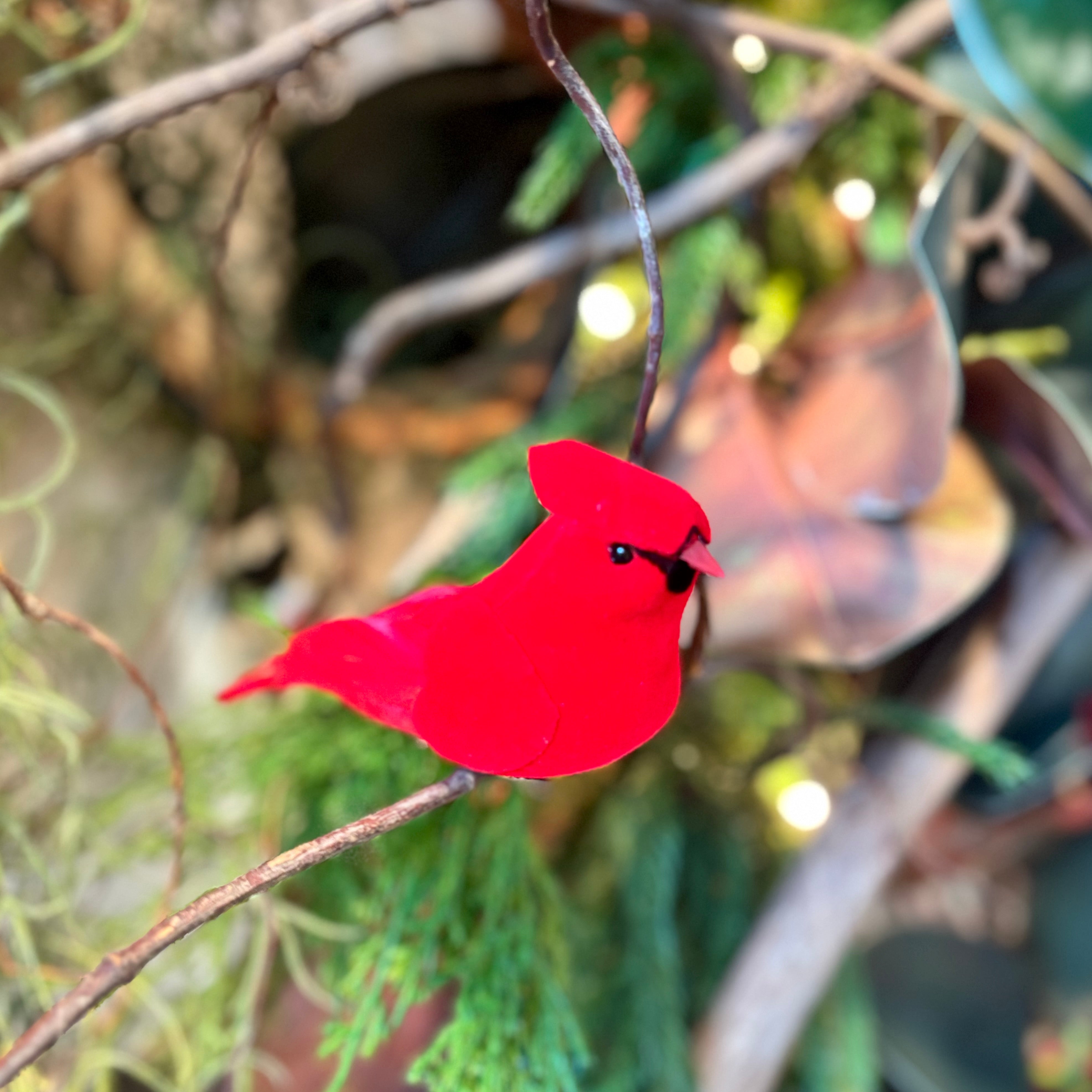 Velvet Feather Red Cardinal Clip Ornament