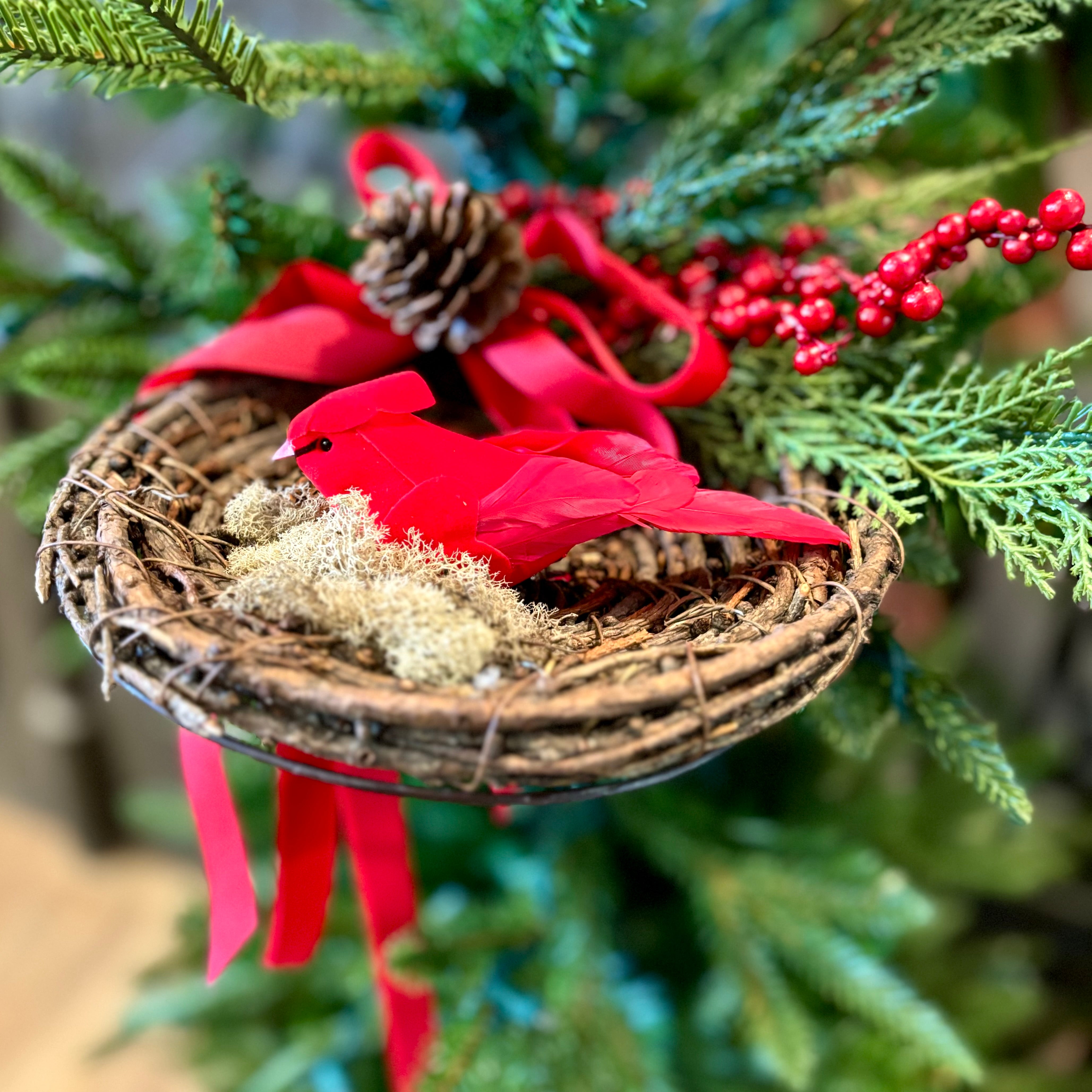 Red Cardinal in Holiday Nest