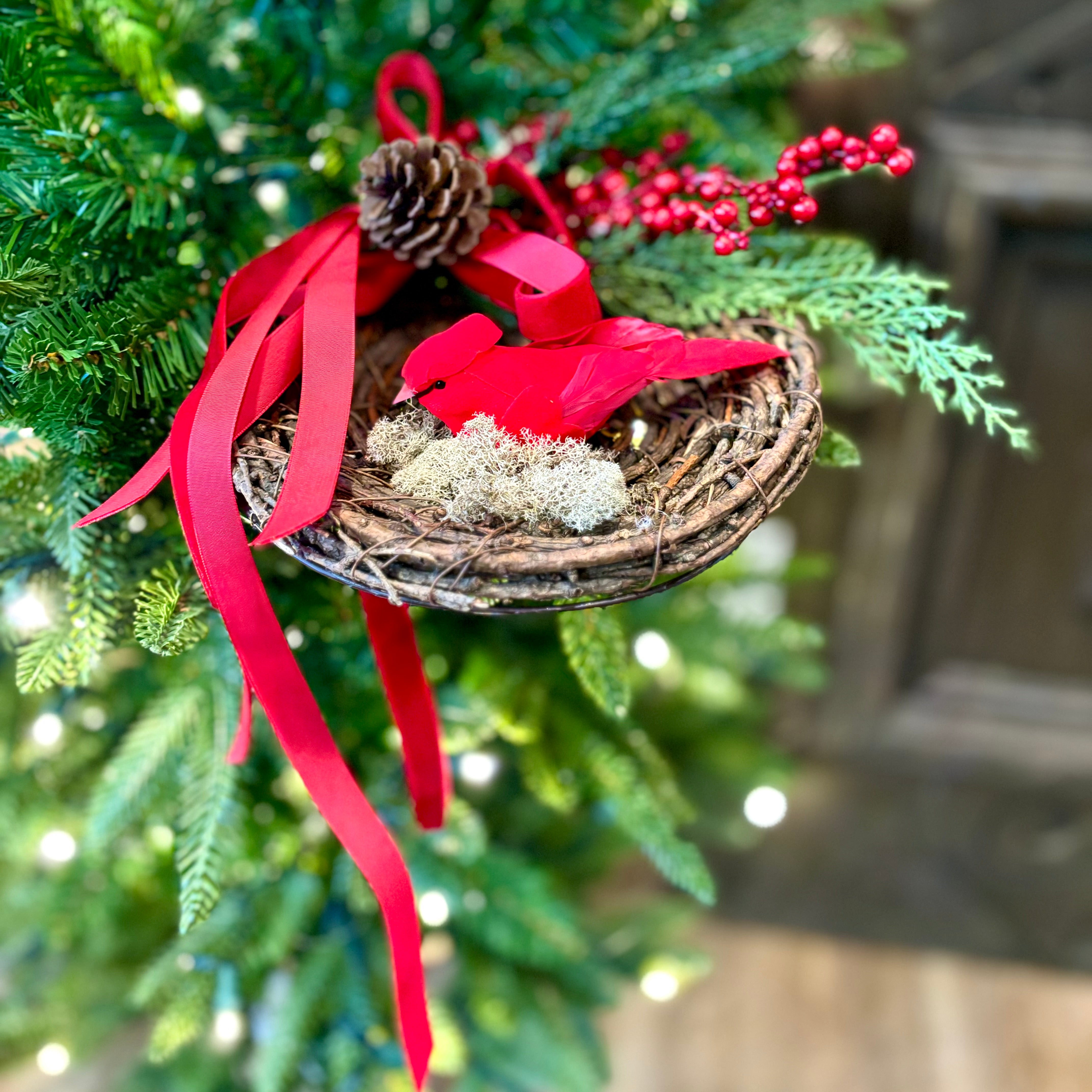 Red Cardinal in Holiday Nest