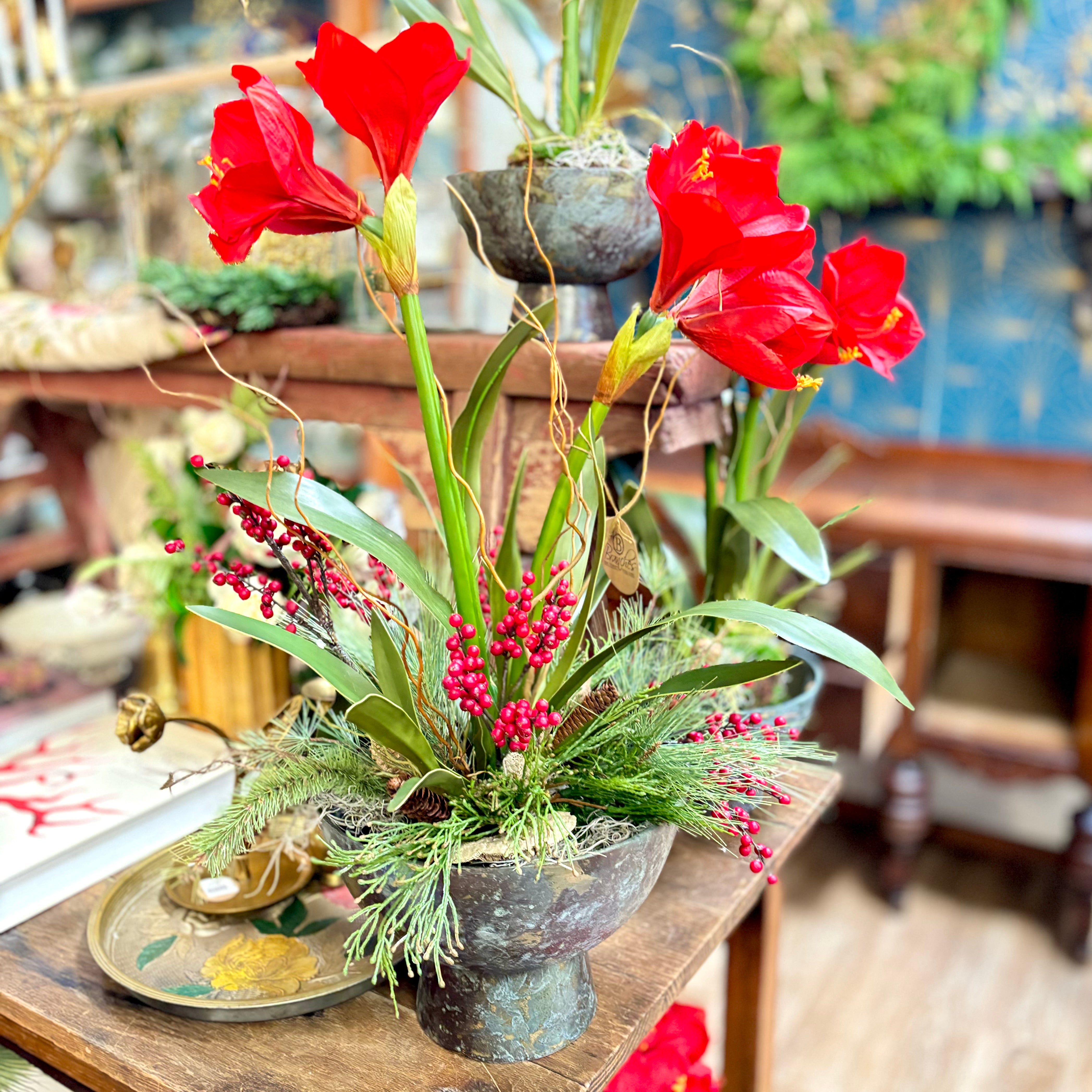 Red Amaryllis Double Centerpiece Drop In