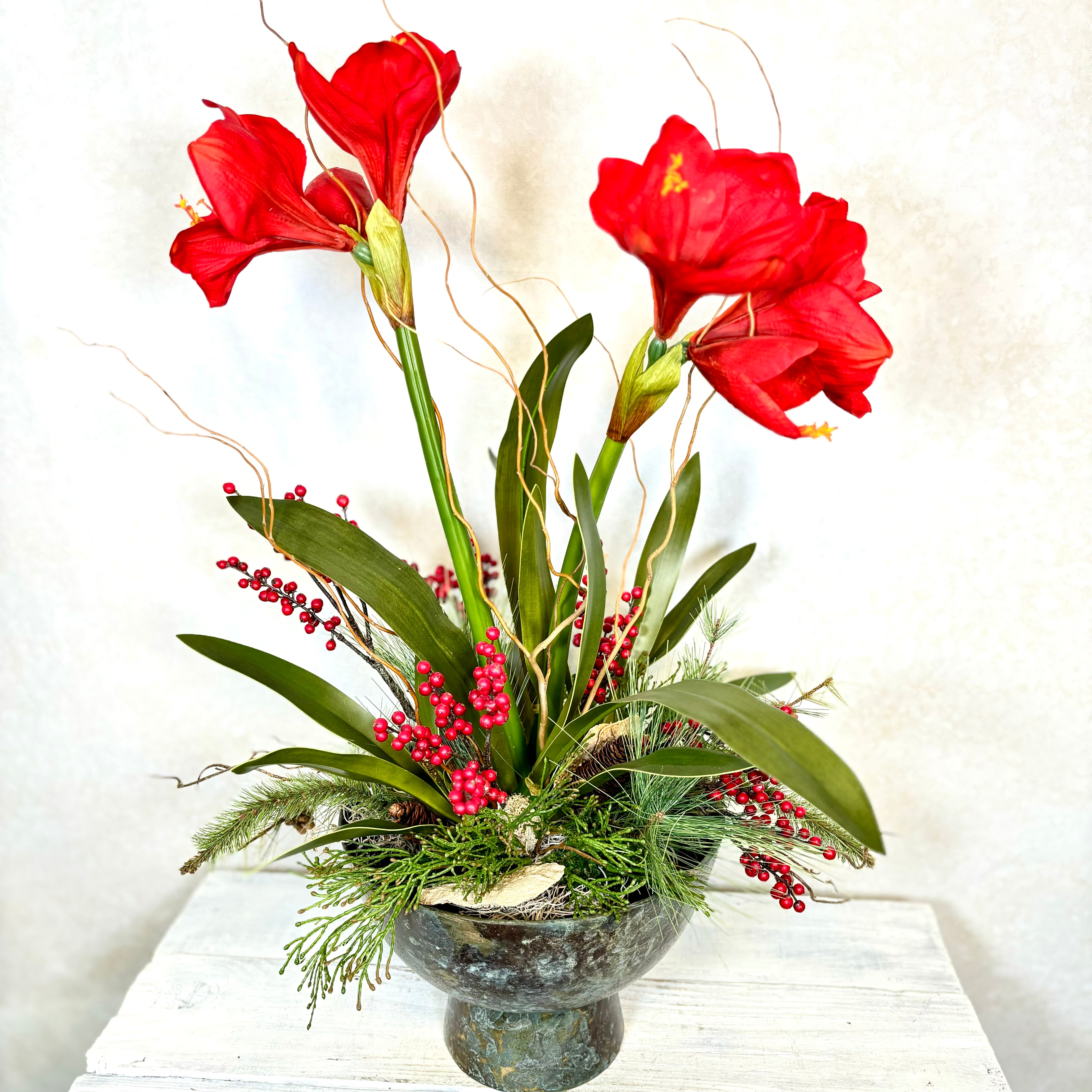 Red Amaryllis Double Centerpiece Drop In