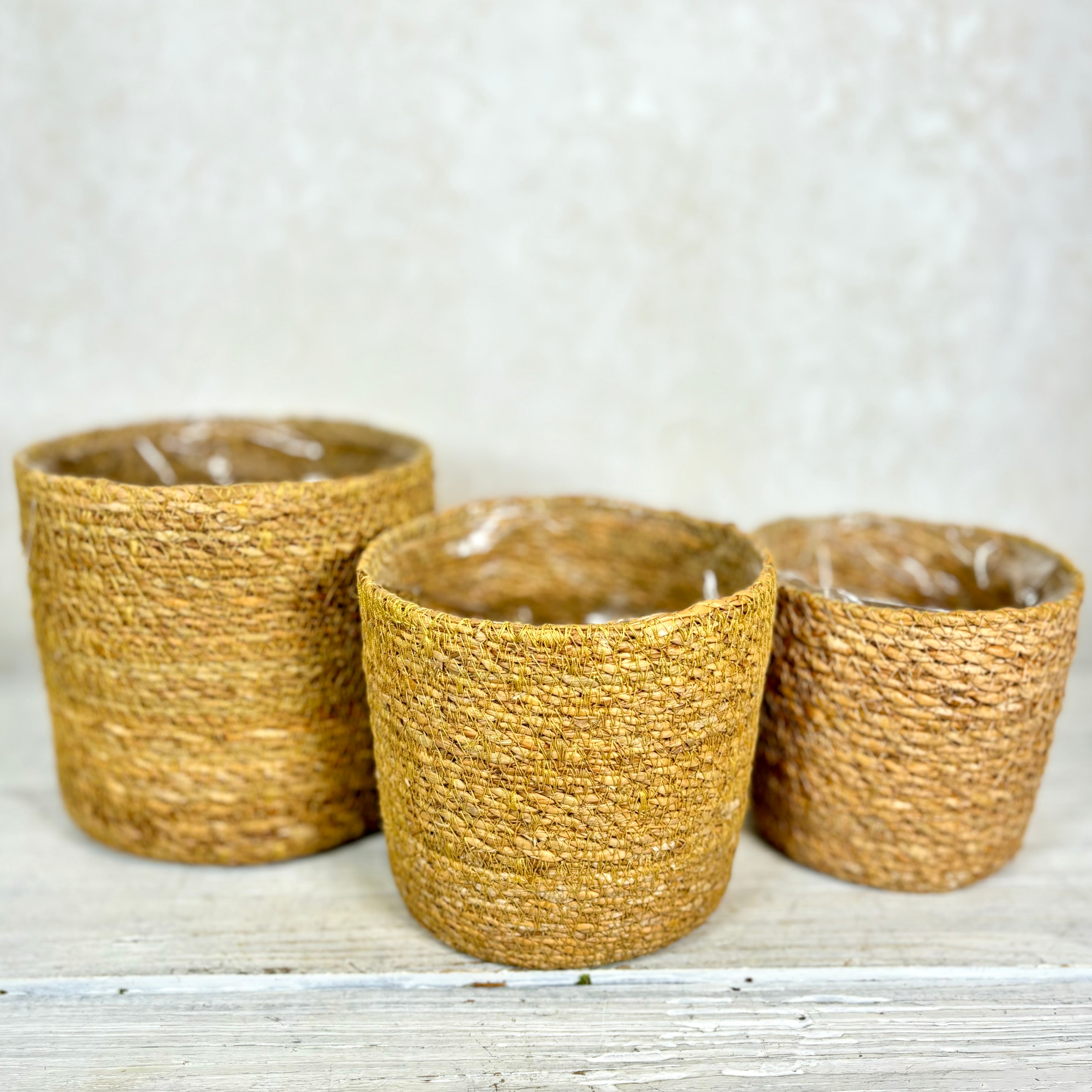 Seagrass Basket Medium