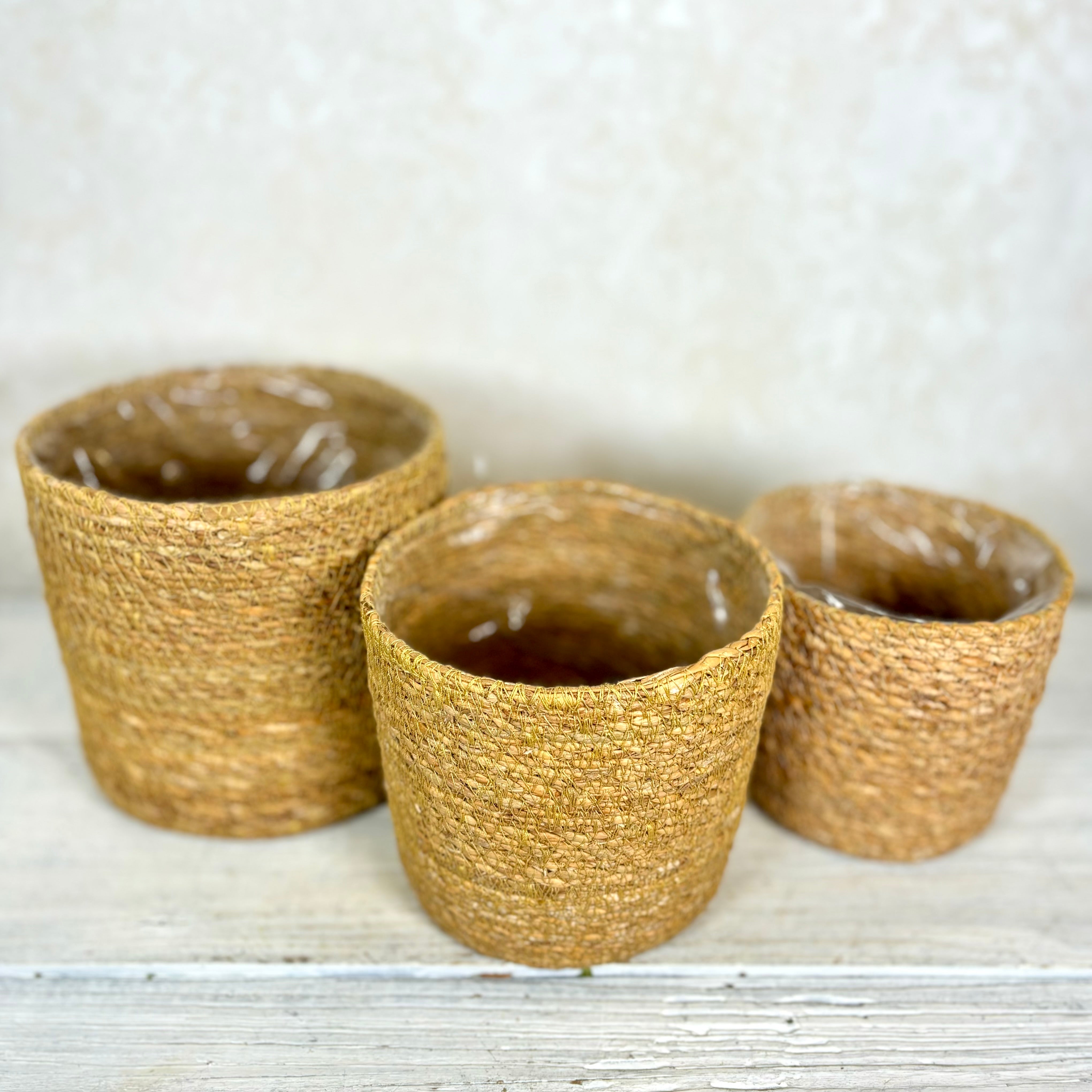 Seagrass Basket Medium