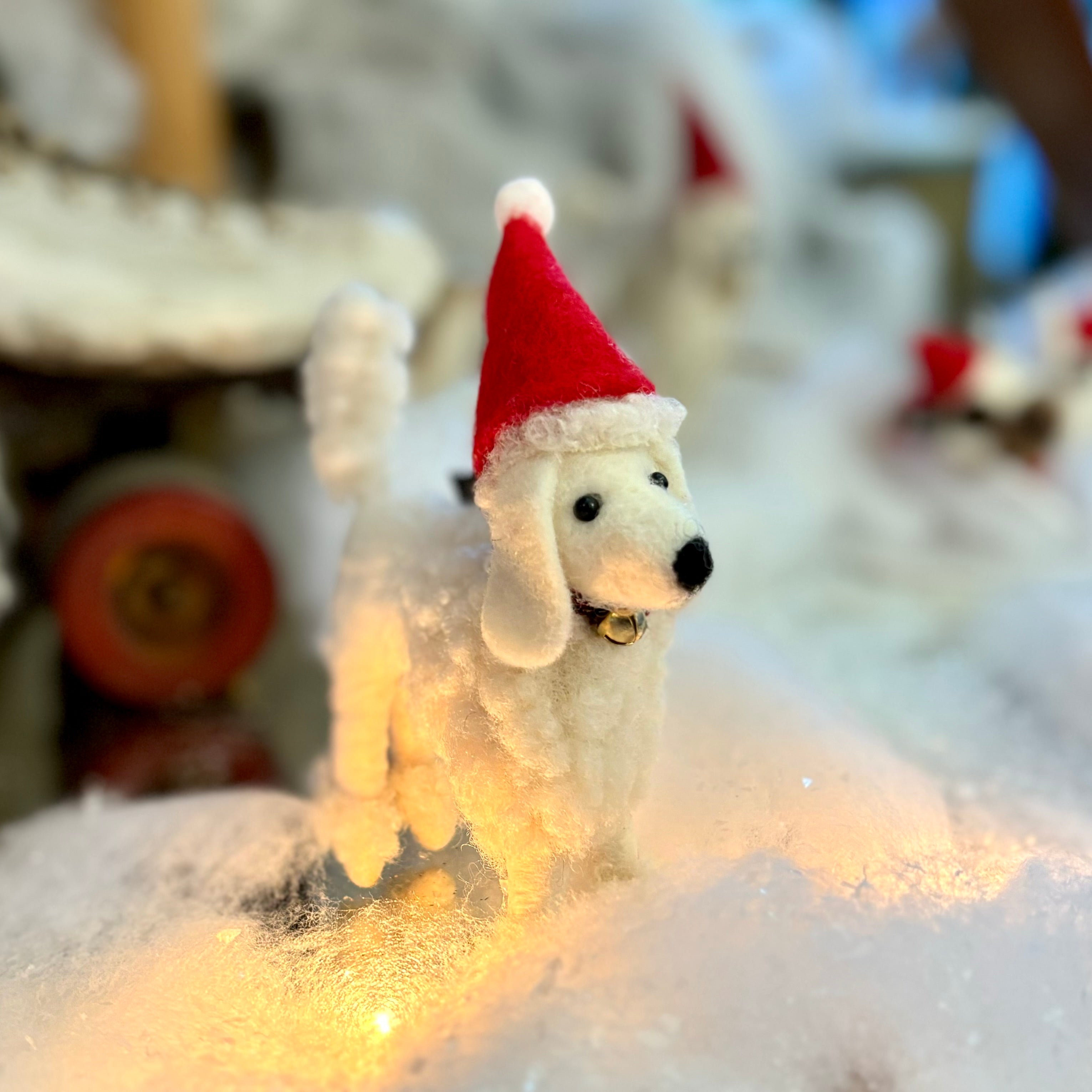 White Wool Dog with Santa Hat