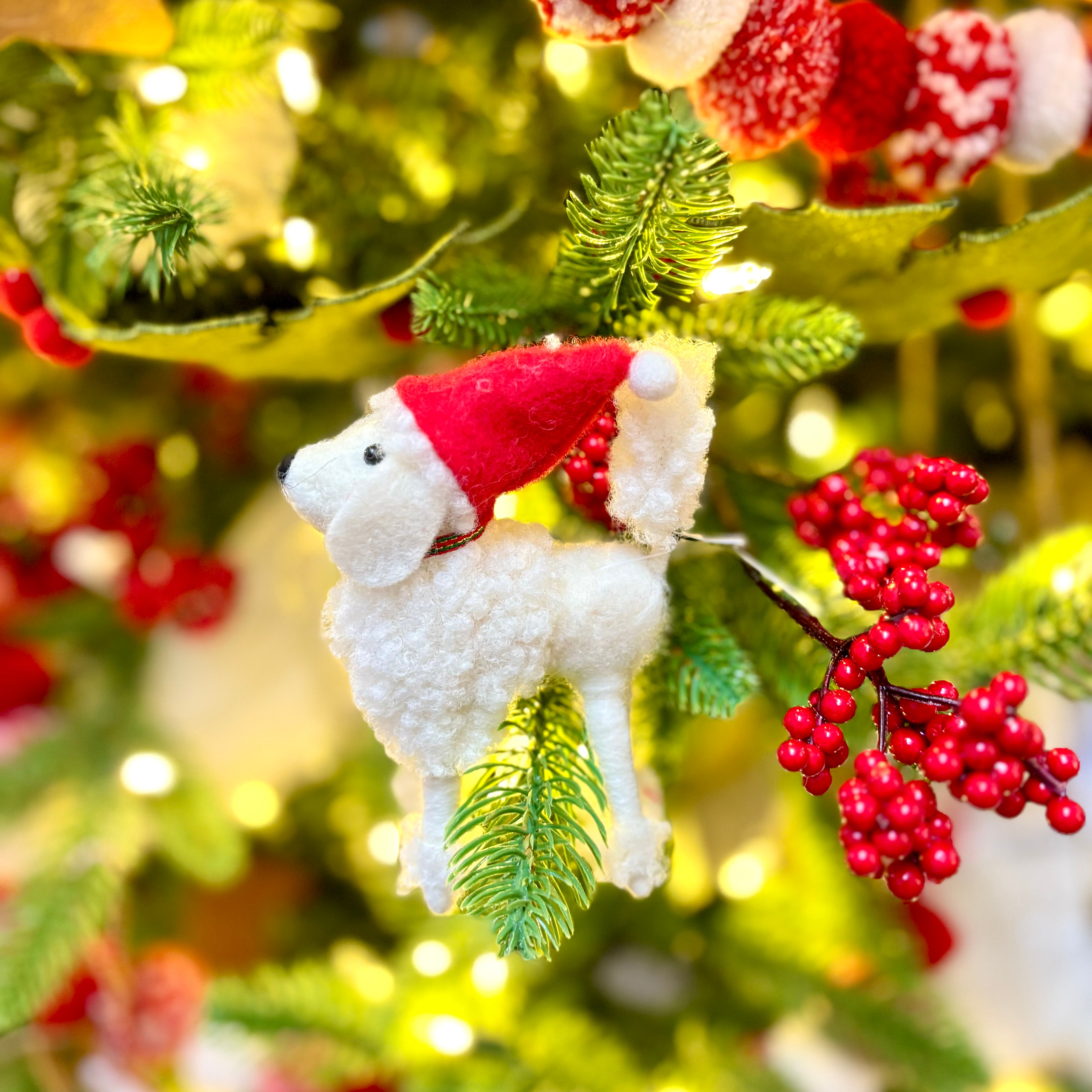 White Wool Dog with Santa Hat