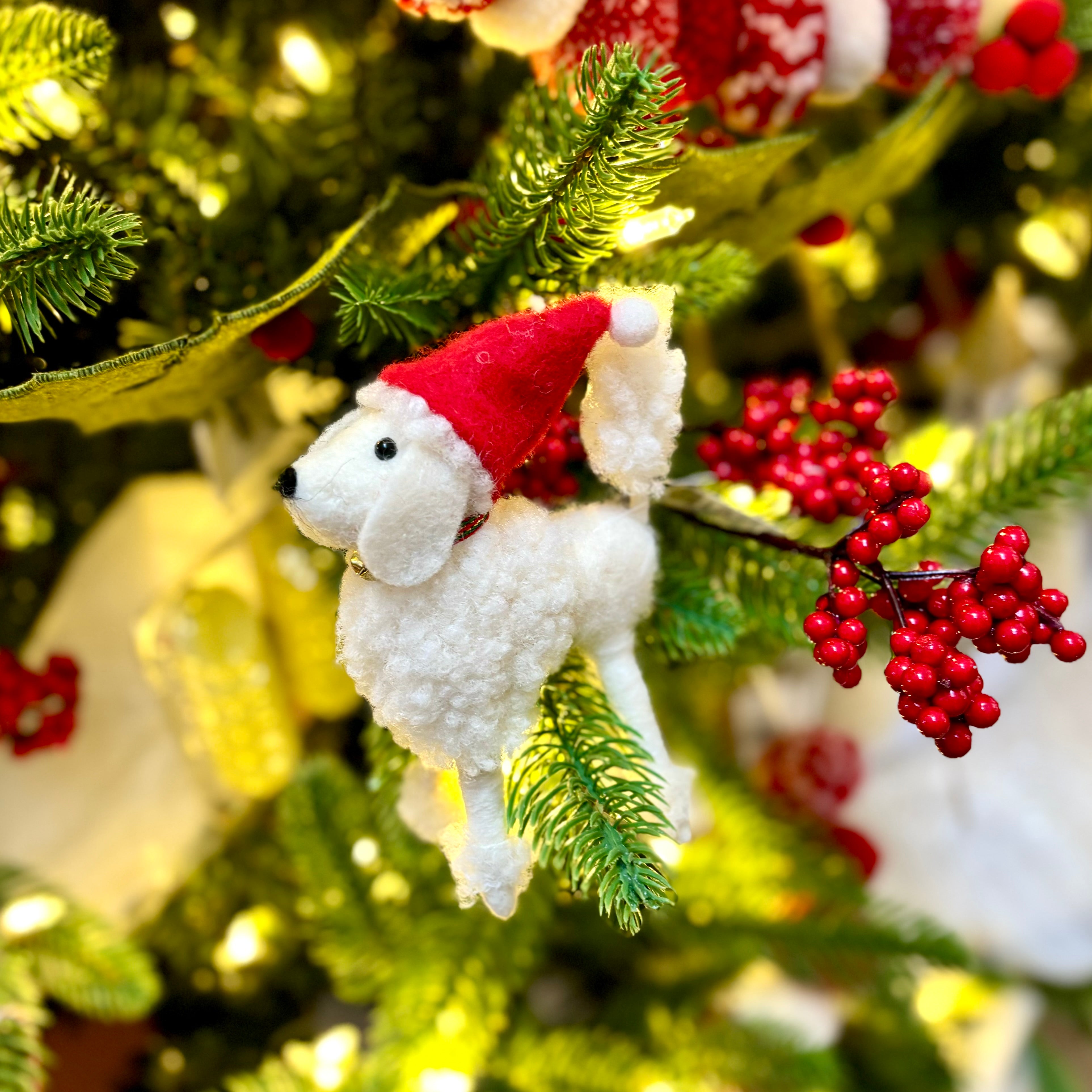 White Wool Dog with Santa Hat