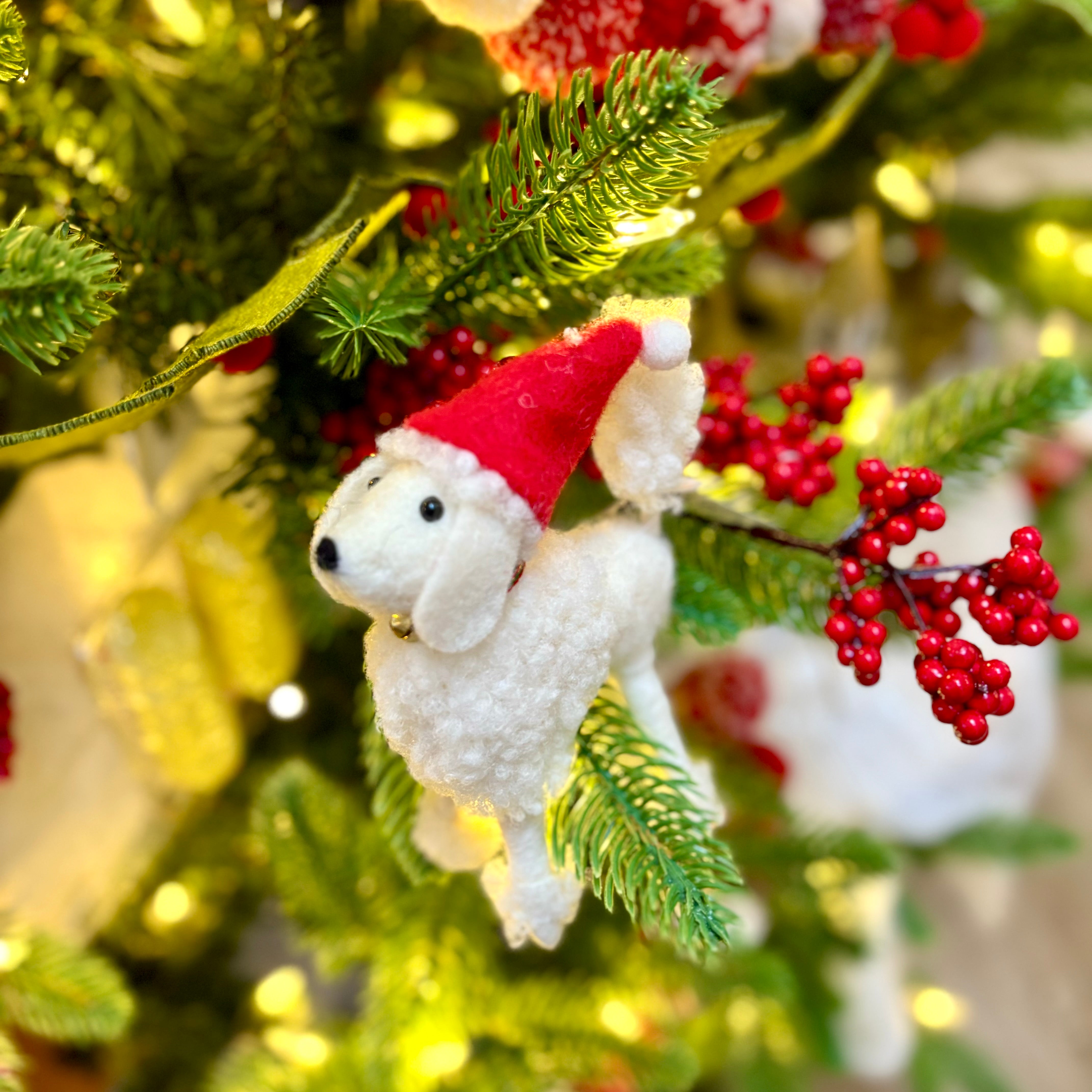 White Wool Dog with Santa Hat