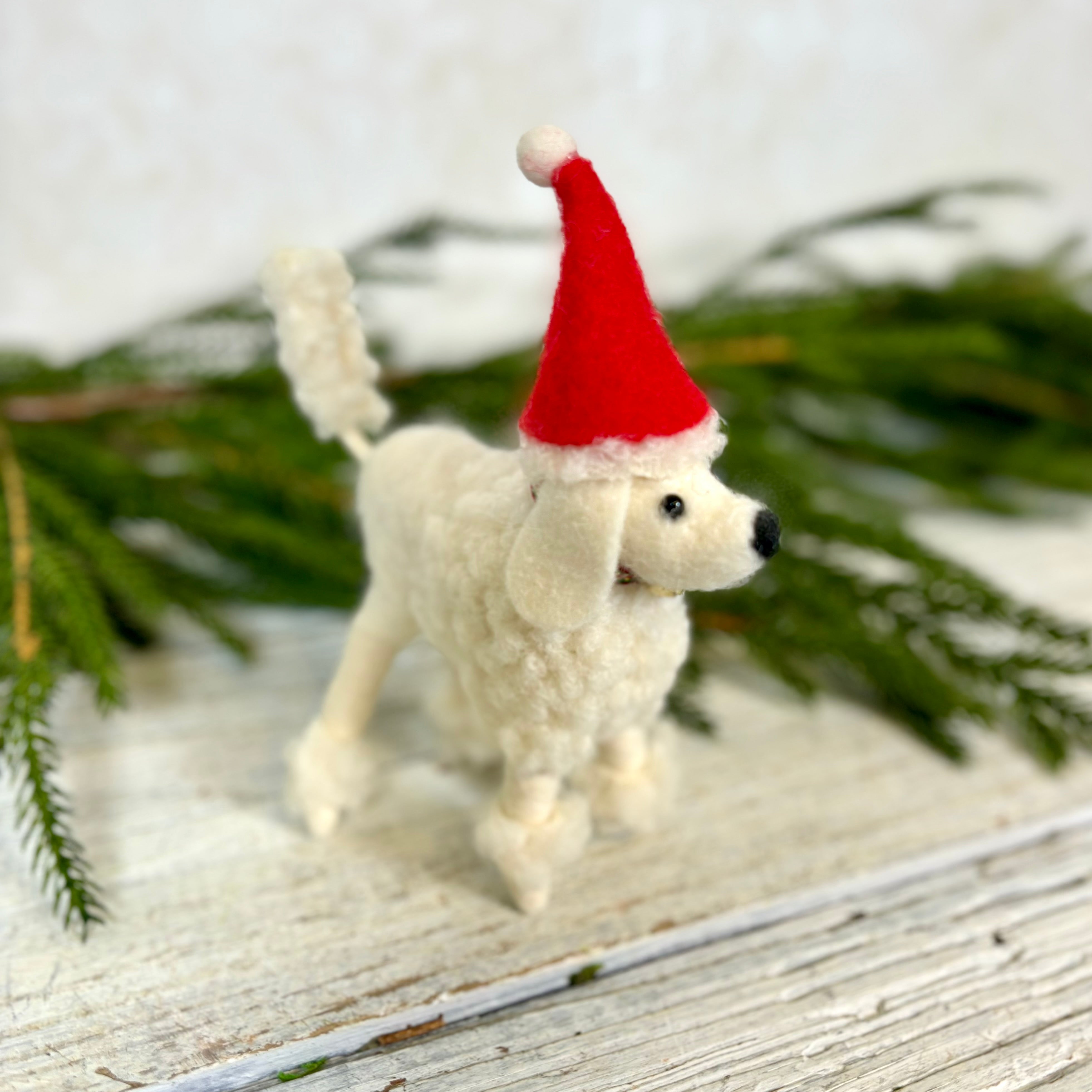 White Wool Dog with Santa Hat