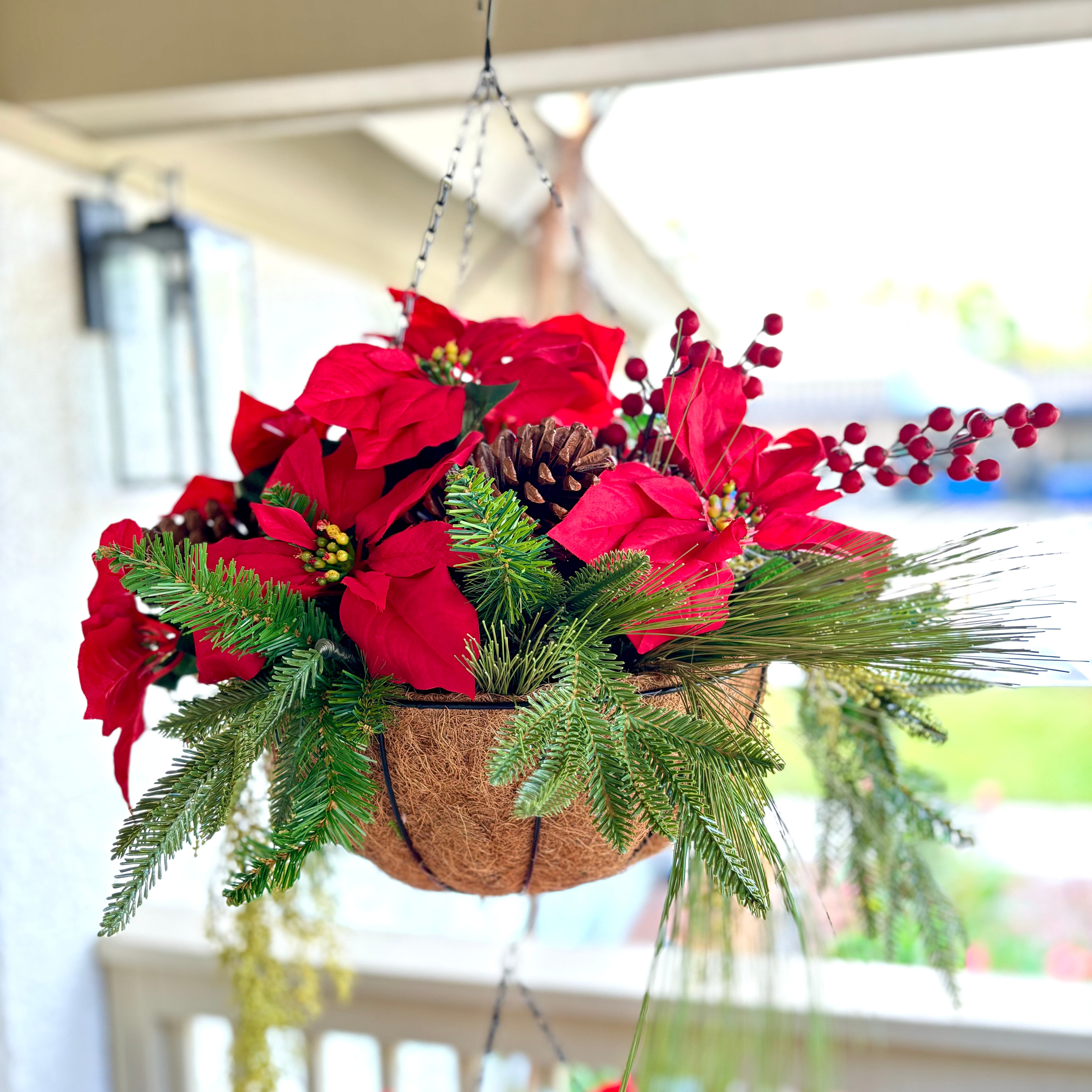 Poinsettia and Evergreen Hanging Basket