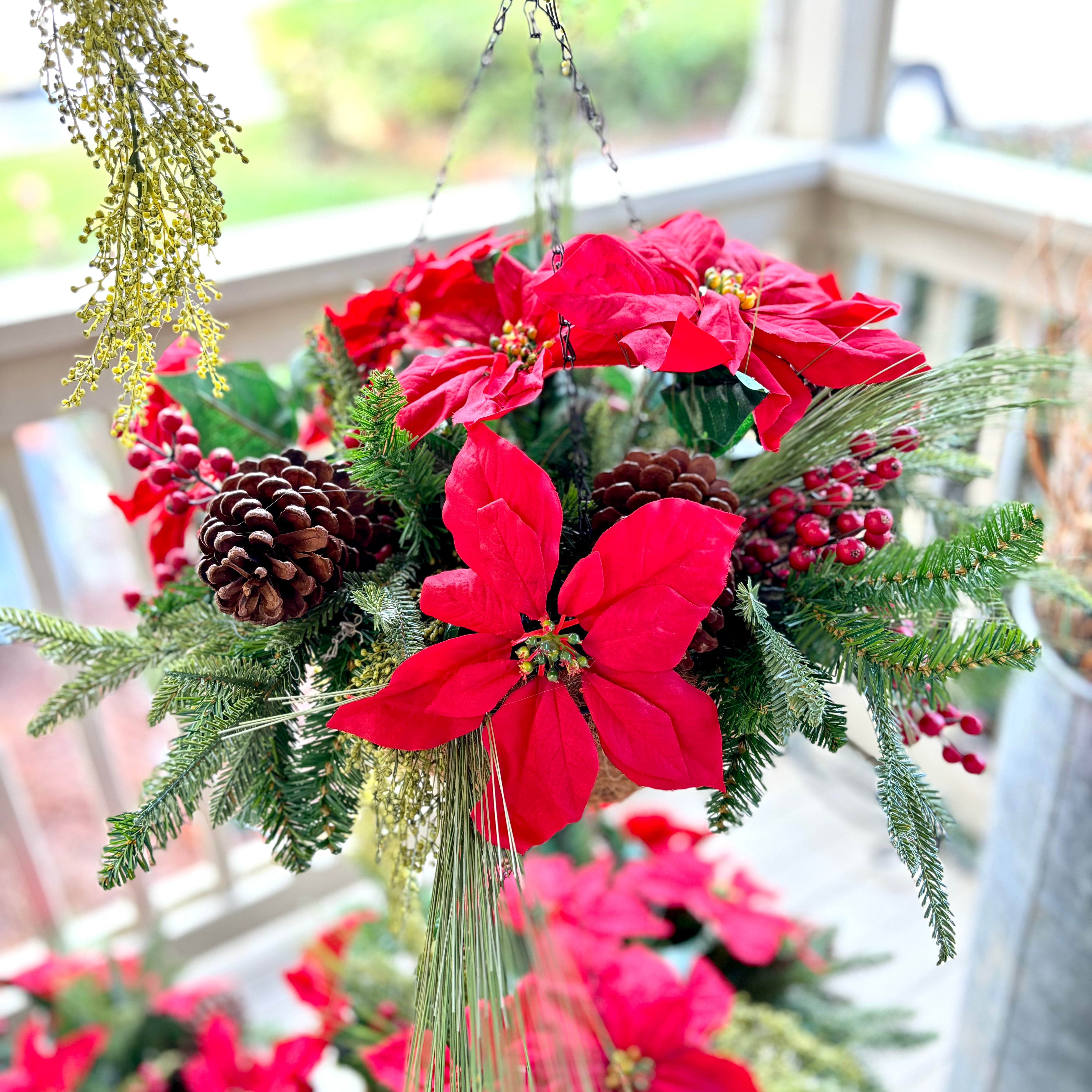 Poinsettia and Evergreen Hanging Basket