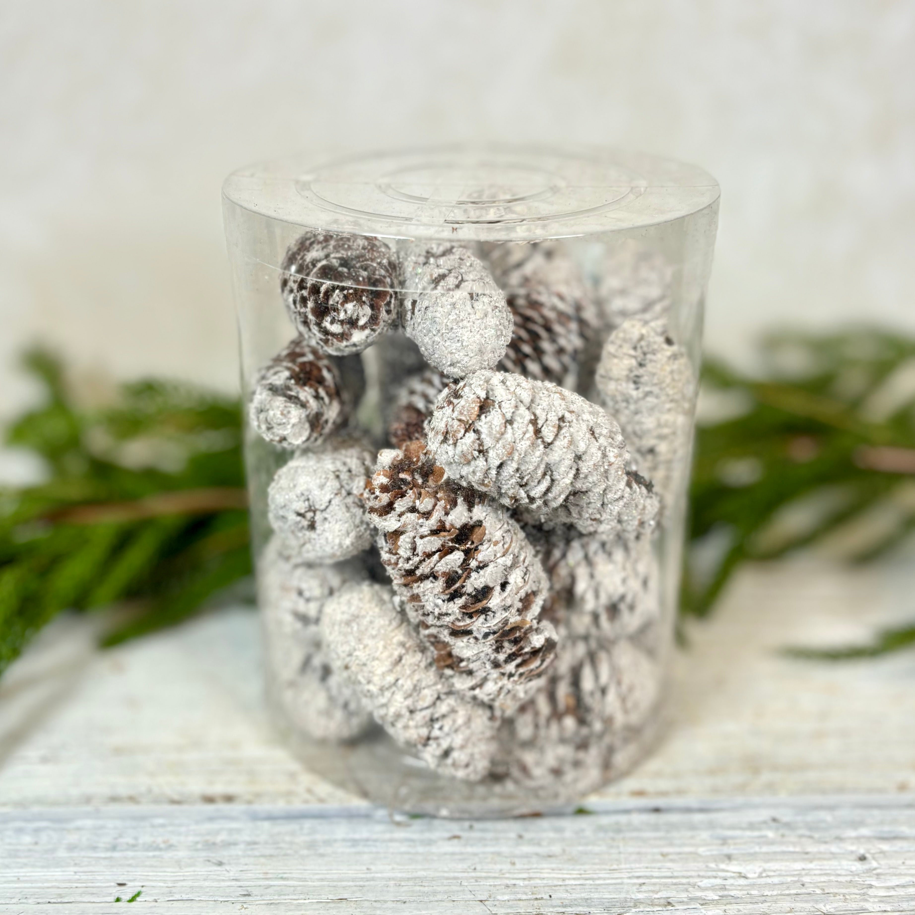 Cylinder of Glittered Flocked Long Brown Pinescones