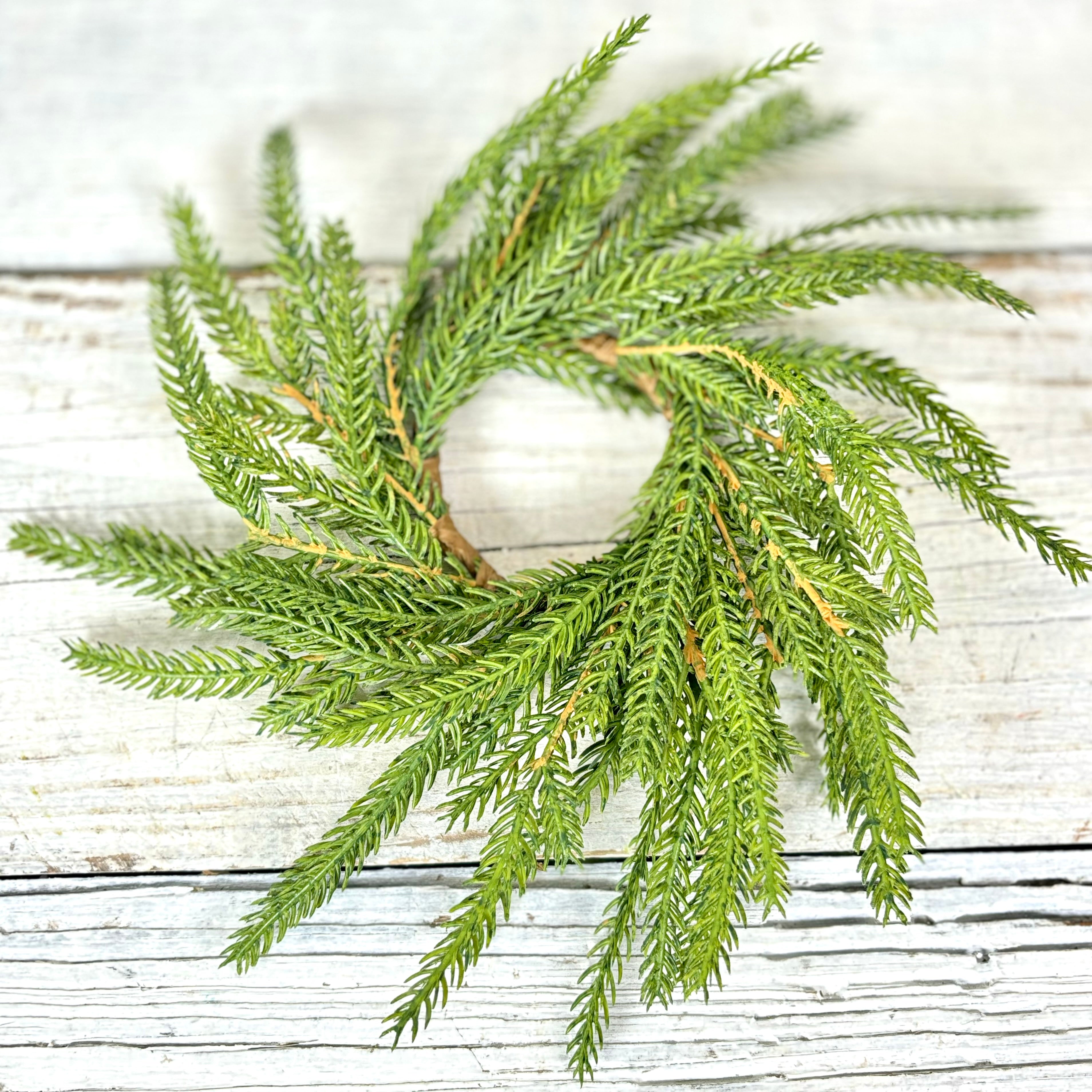 Norfolk Pine Wreath Extra Small