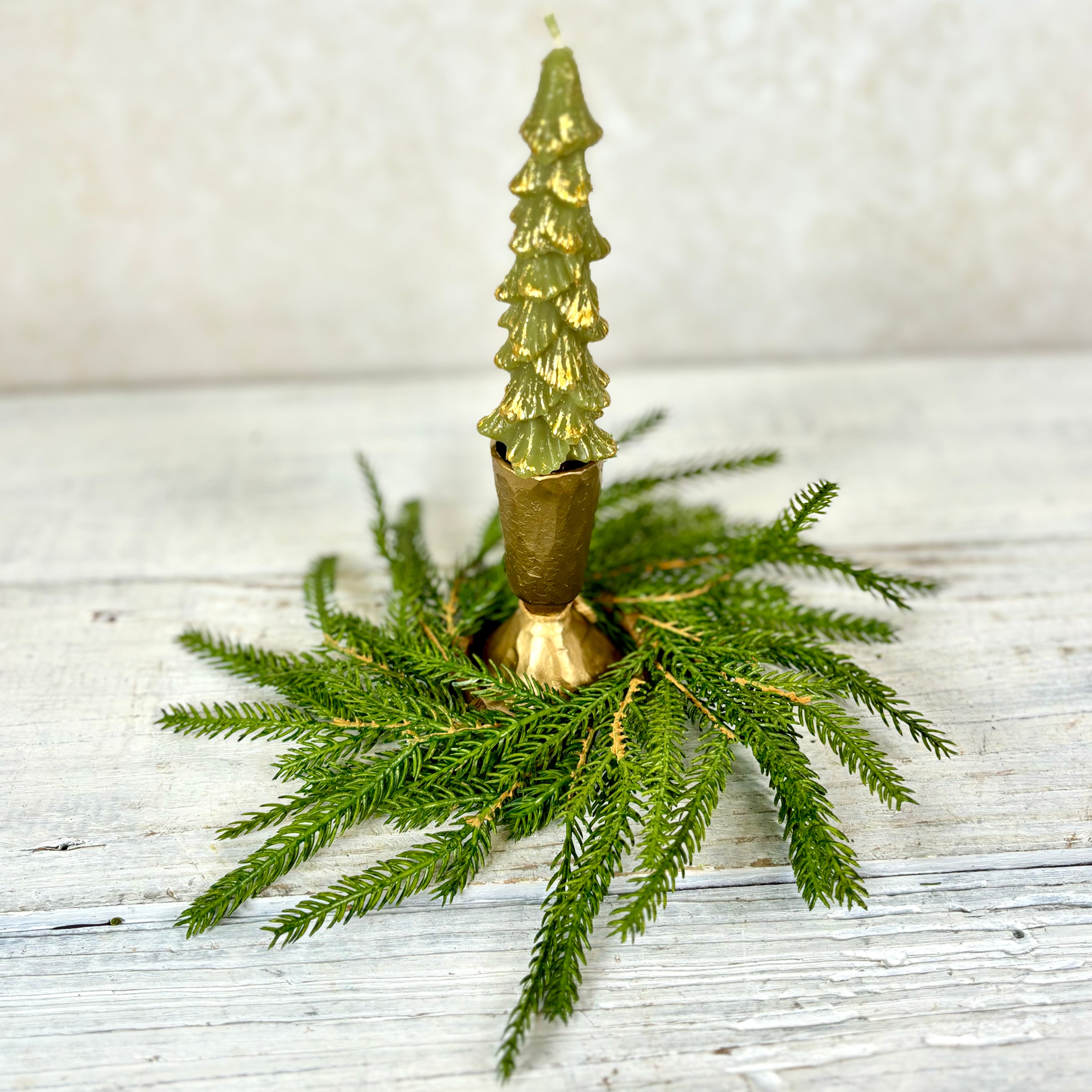 Norfolk Pine Wreath Extra Small