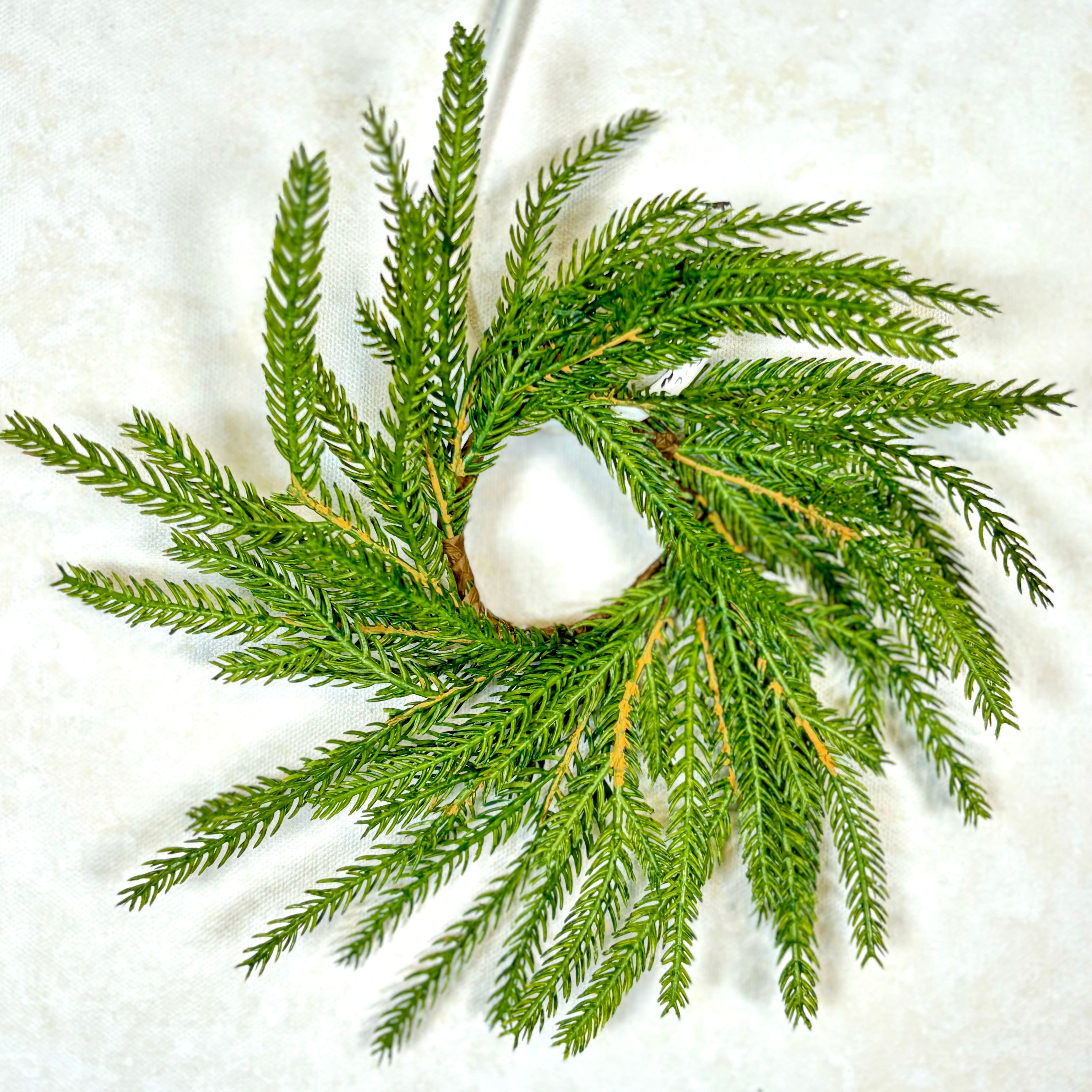 Norfolk Pine Wreath Extra Small