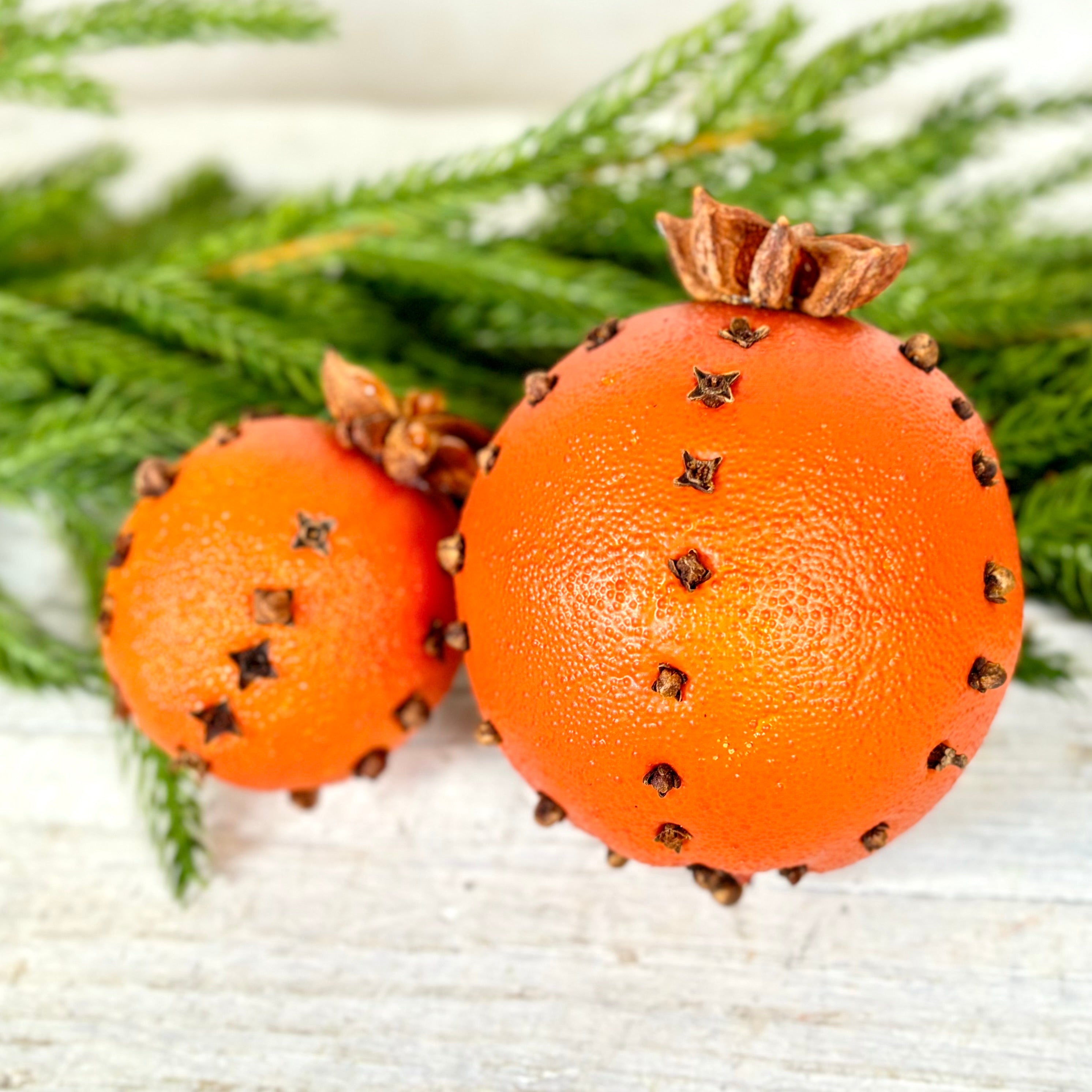 Orange with Real Cloves and Star Anise Large