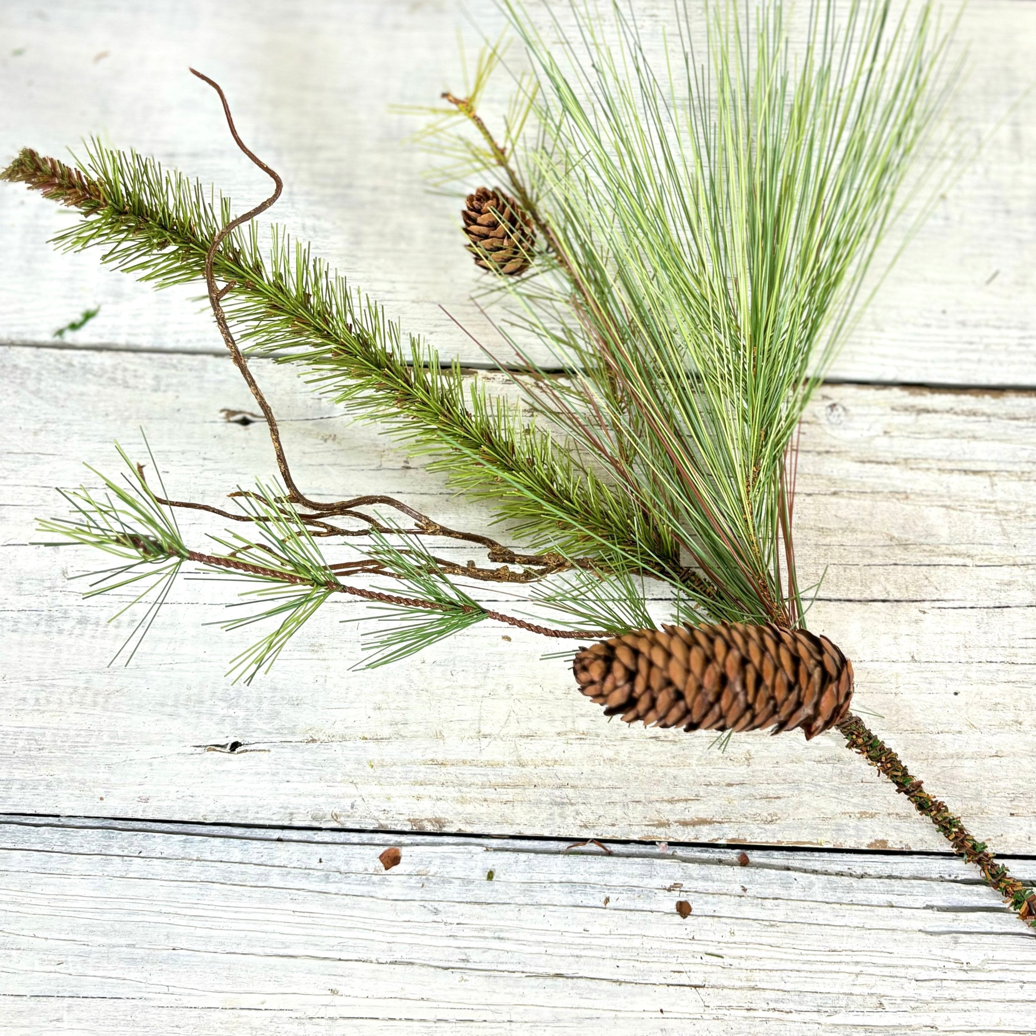 Mixed Pine Pick with Cones