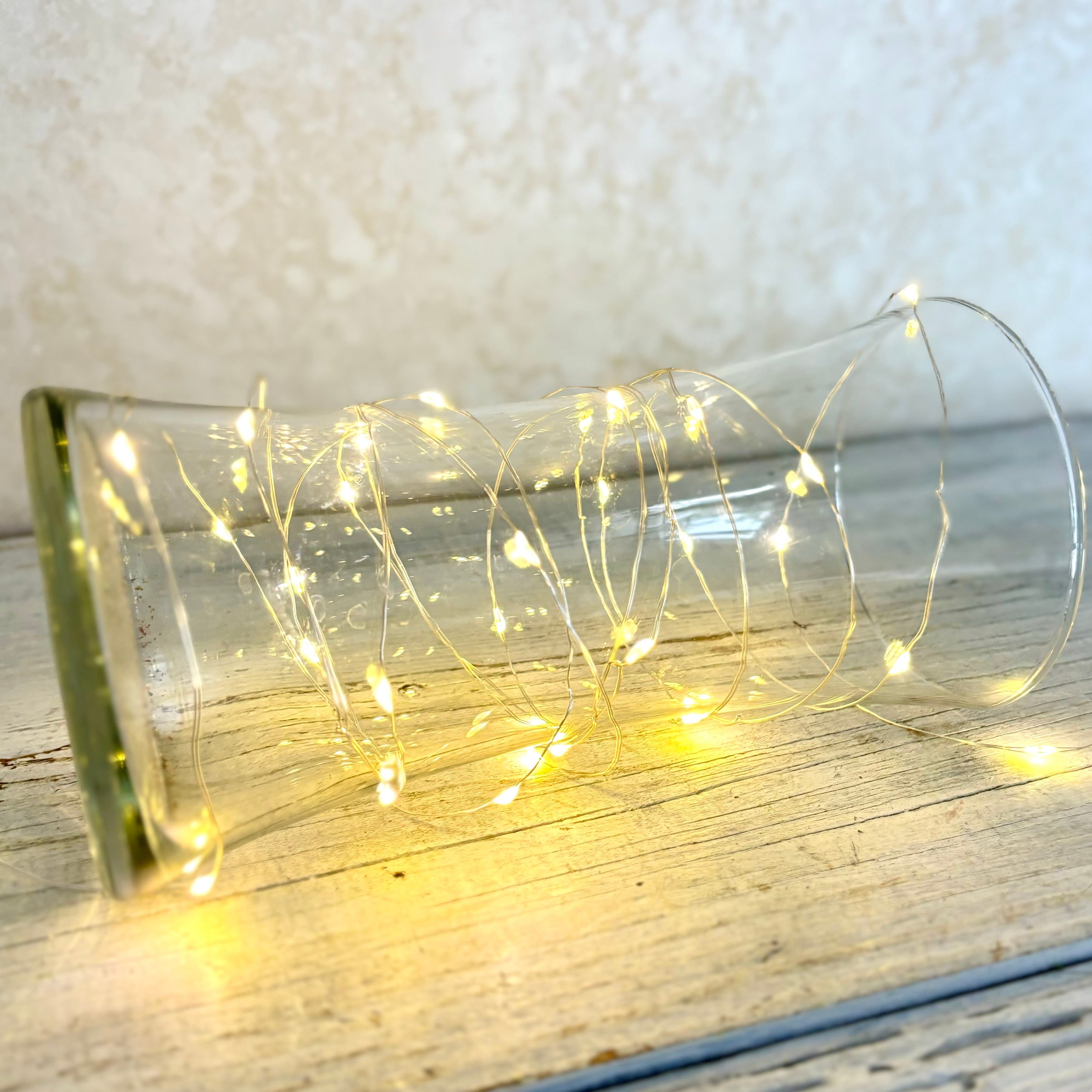 Warm White Indoor/Outdoor LED String Lights 10 ft.