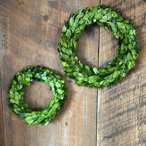 Preserved Boxwood Wreath Small