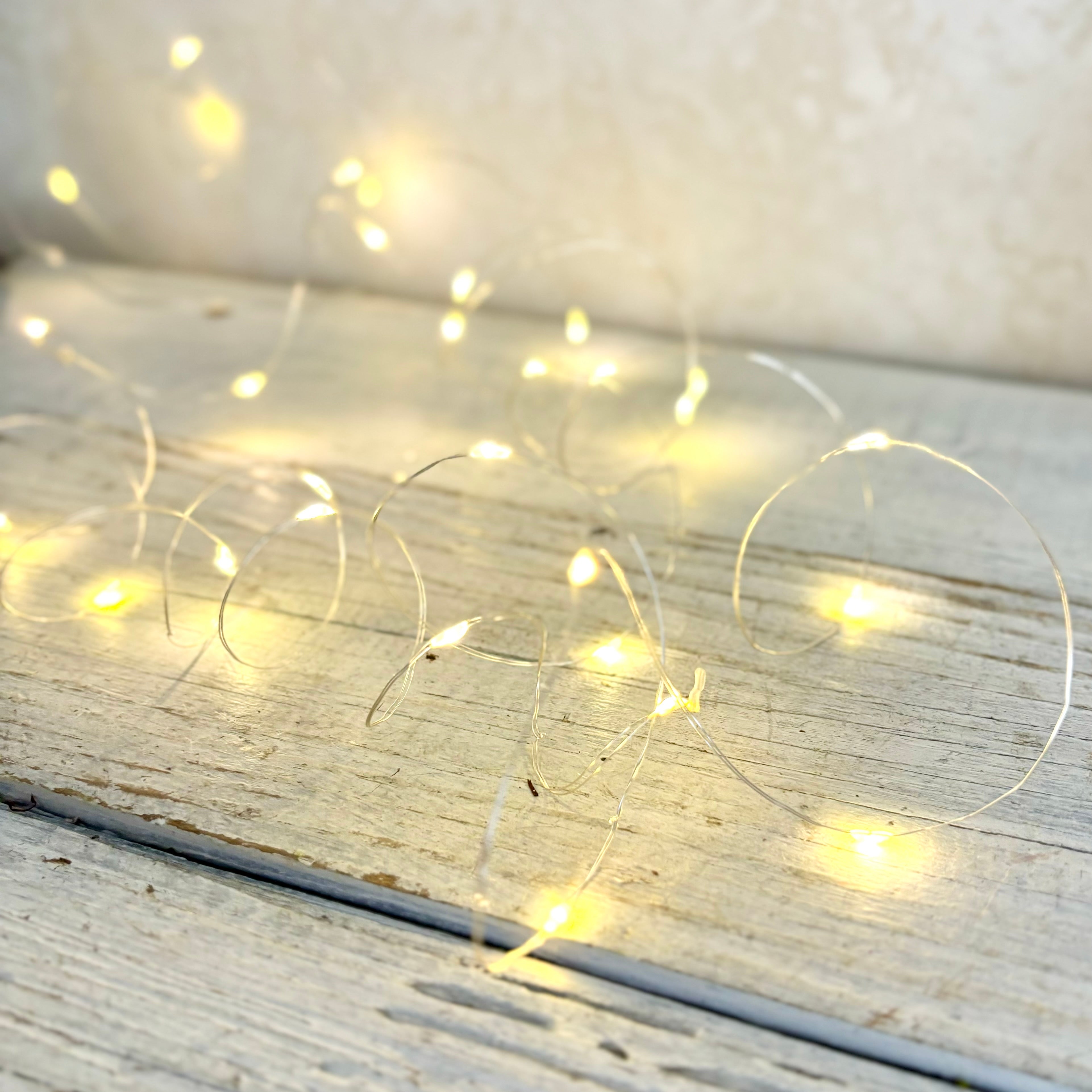 Warm White Indoor/Outdoor LED String Lights 10 ft.