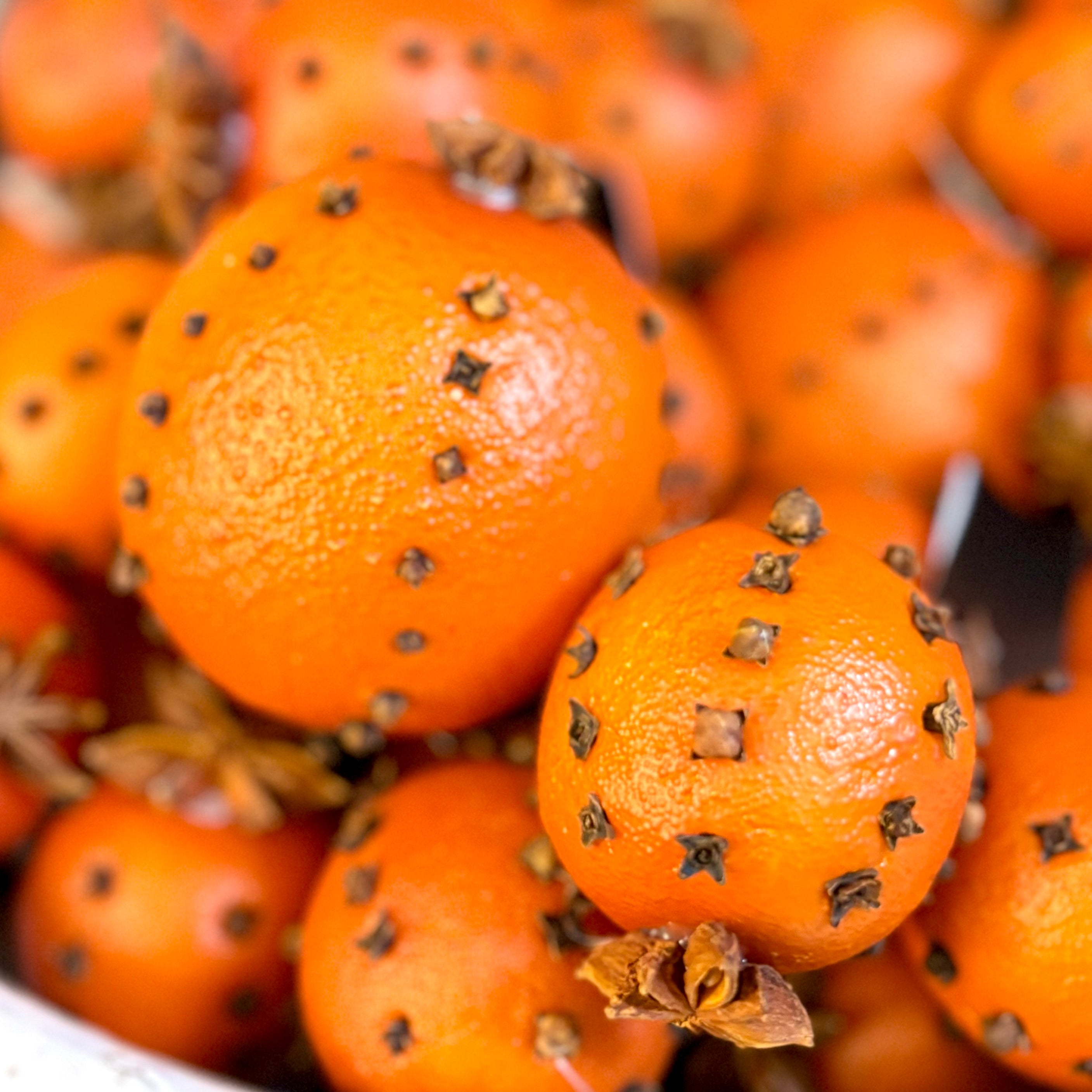 Orange with Real Cloves and Star Anise Small