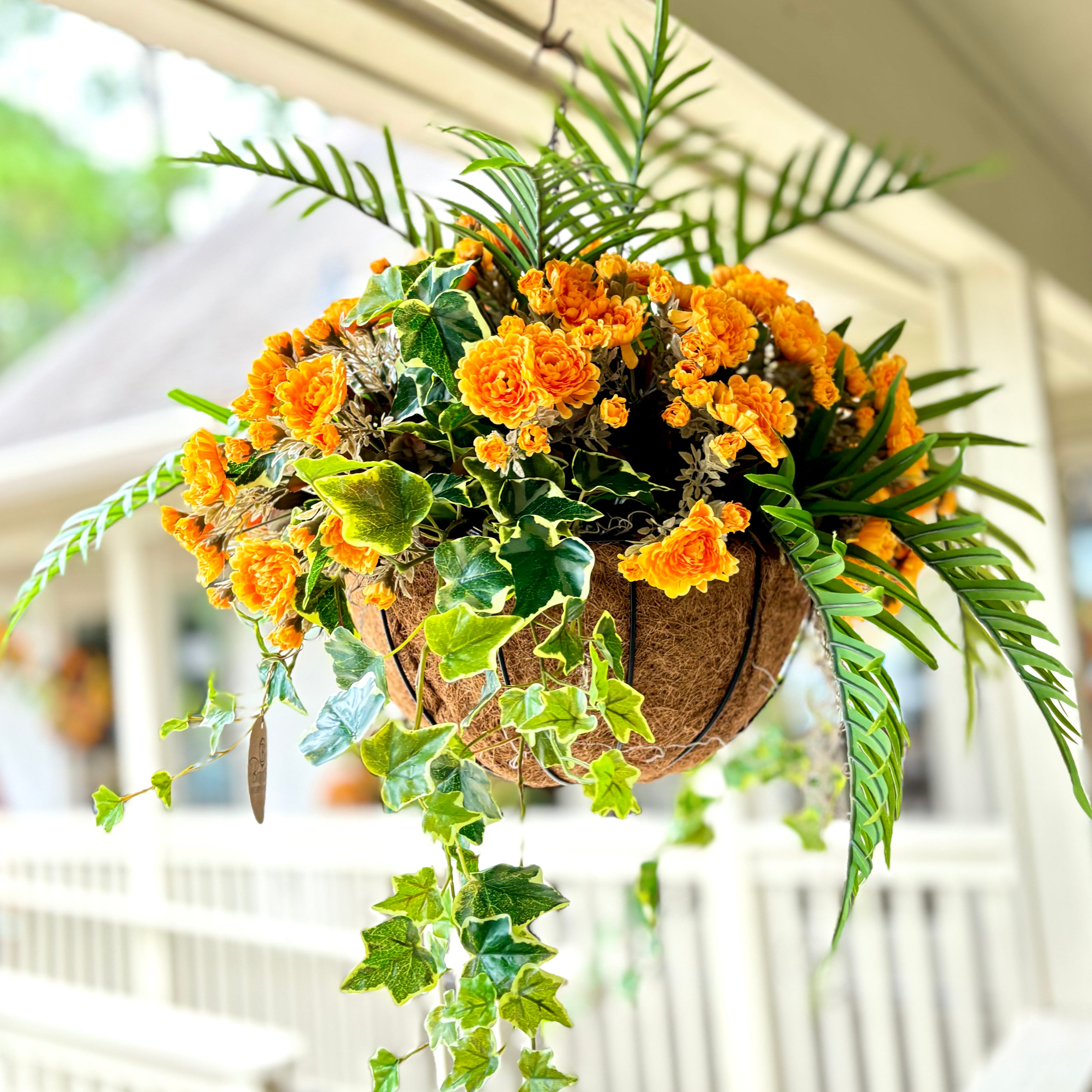 Yellow Mum, Areca and Ivy Hanging Basket